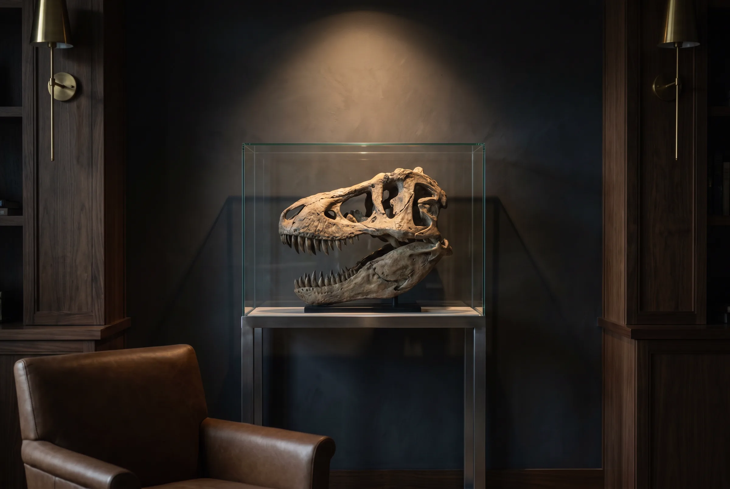Tyrannosaurus rex Skull — staged render in a panelled study setting