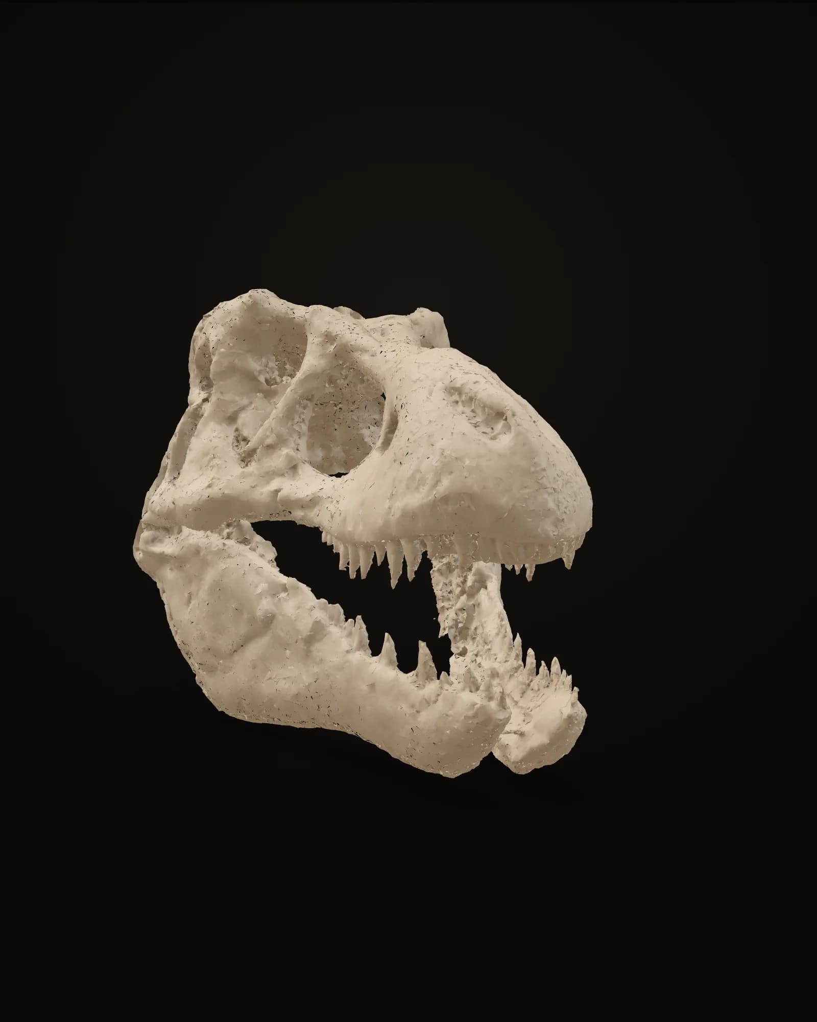 Preview capture of the cast Tyrannosaurus rex skull model, bone against near-black, under a single light