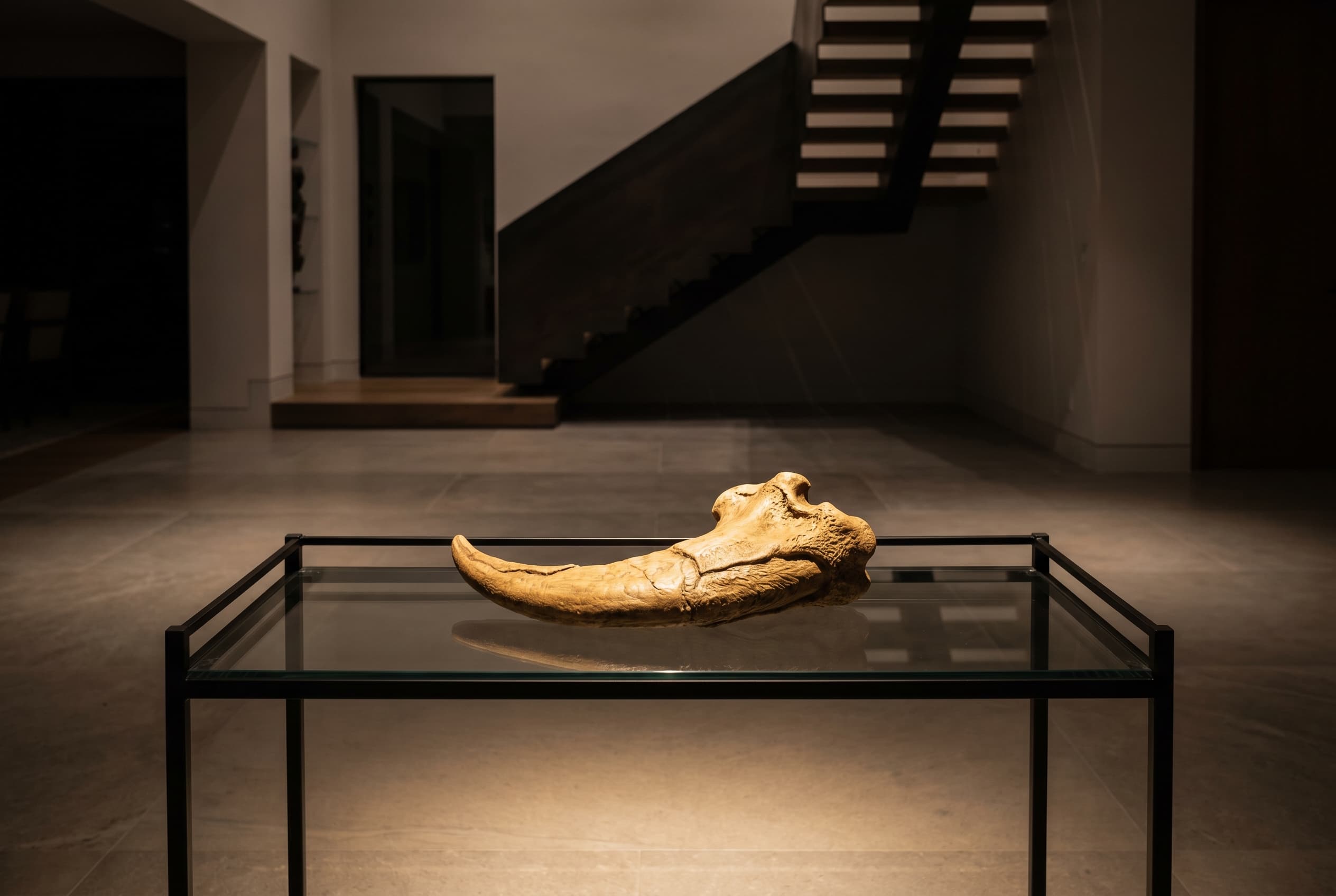 Allosaurus Claw — staged render in a staged setting