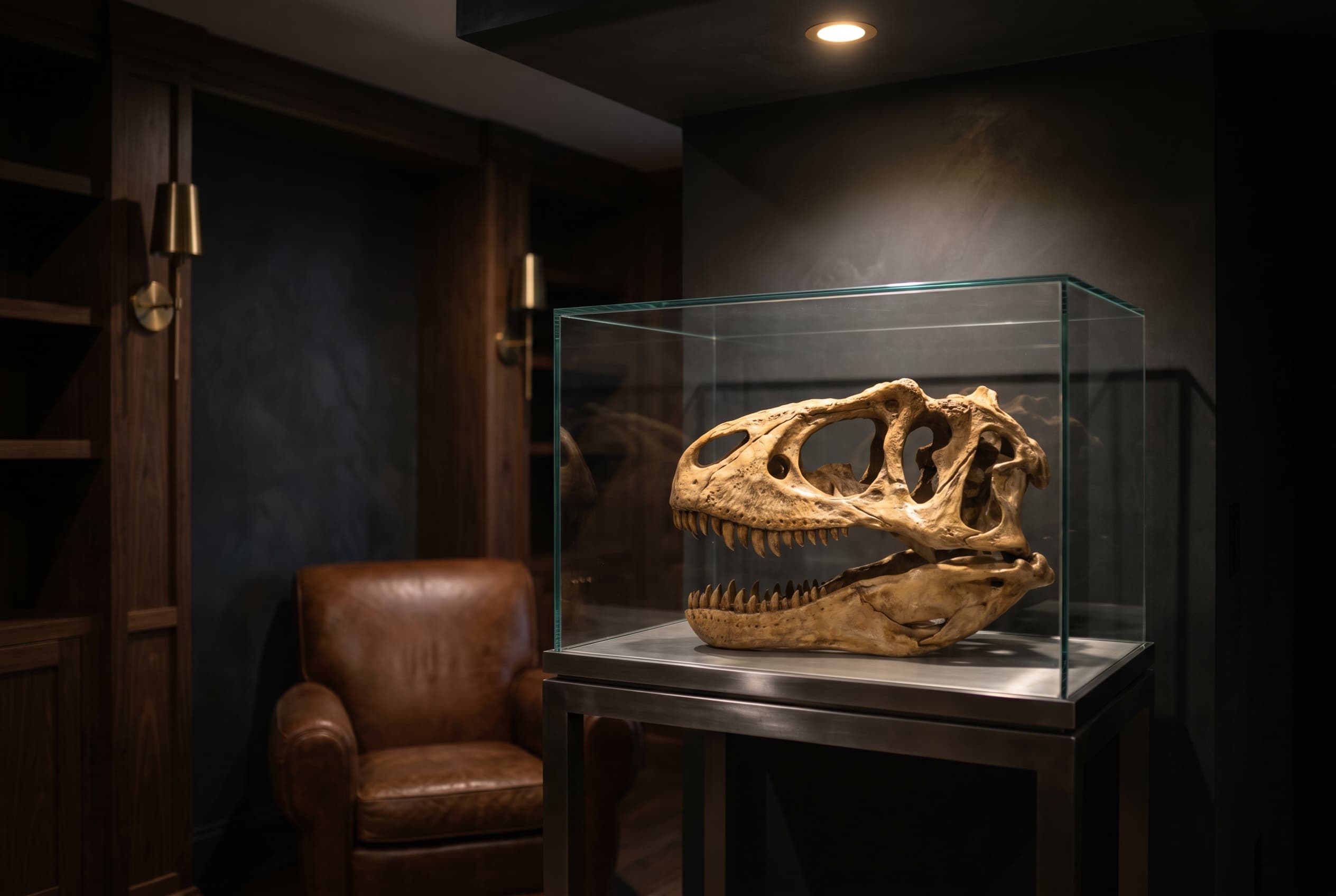Allosaurus Skull — staged render in a staged setting