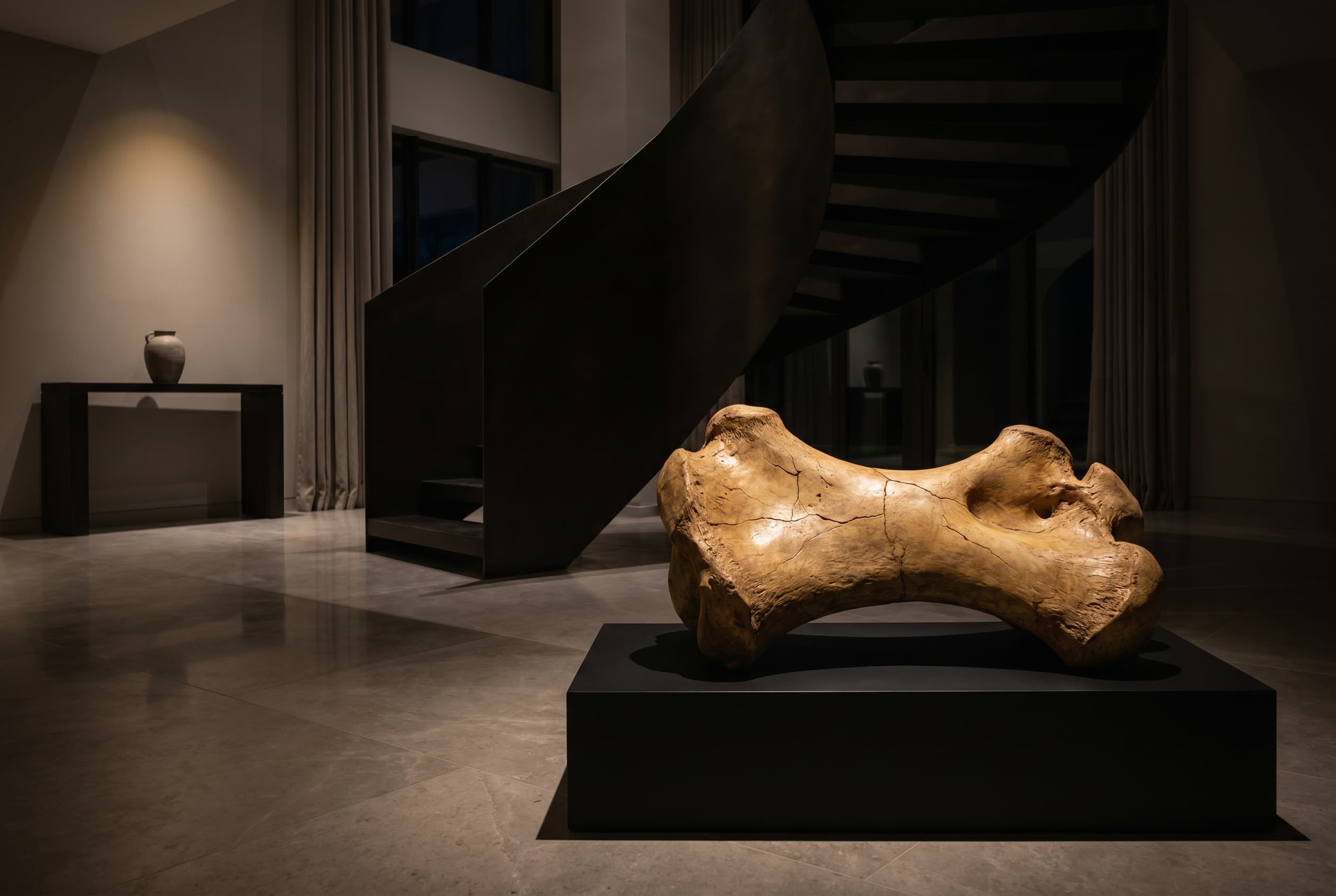 Ankylosaurus Bone — staged render in a staged setting