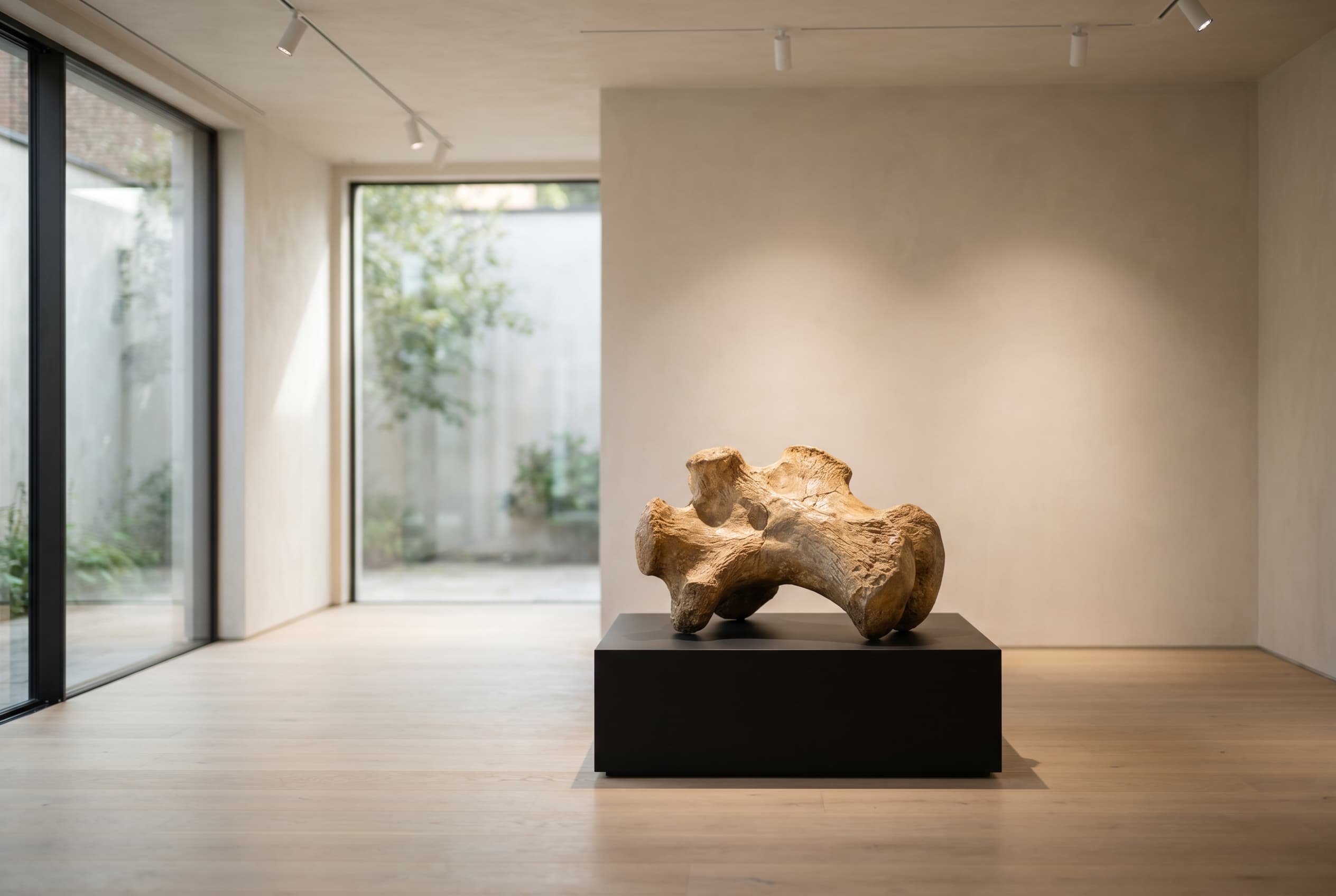 Ankylosaurus Bone — staged render in a staged setting