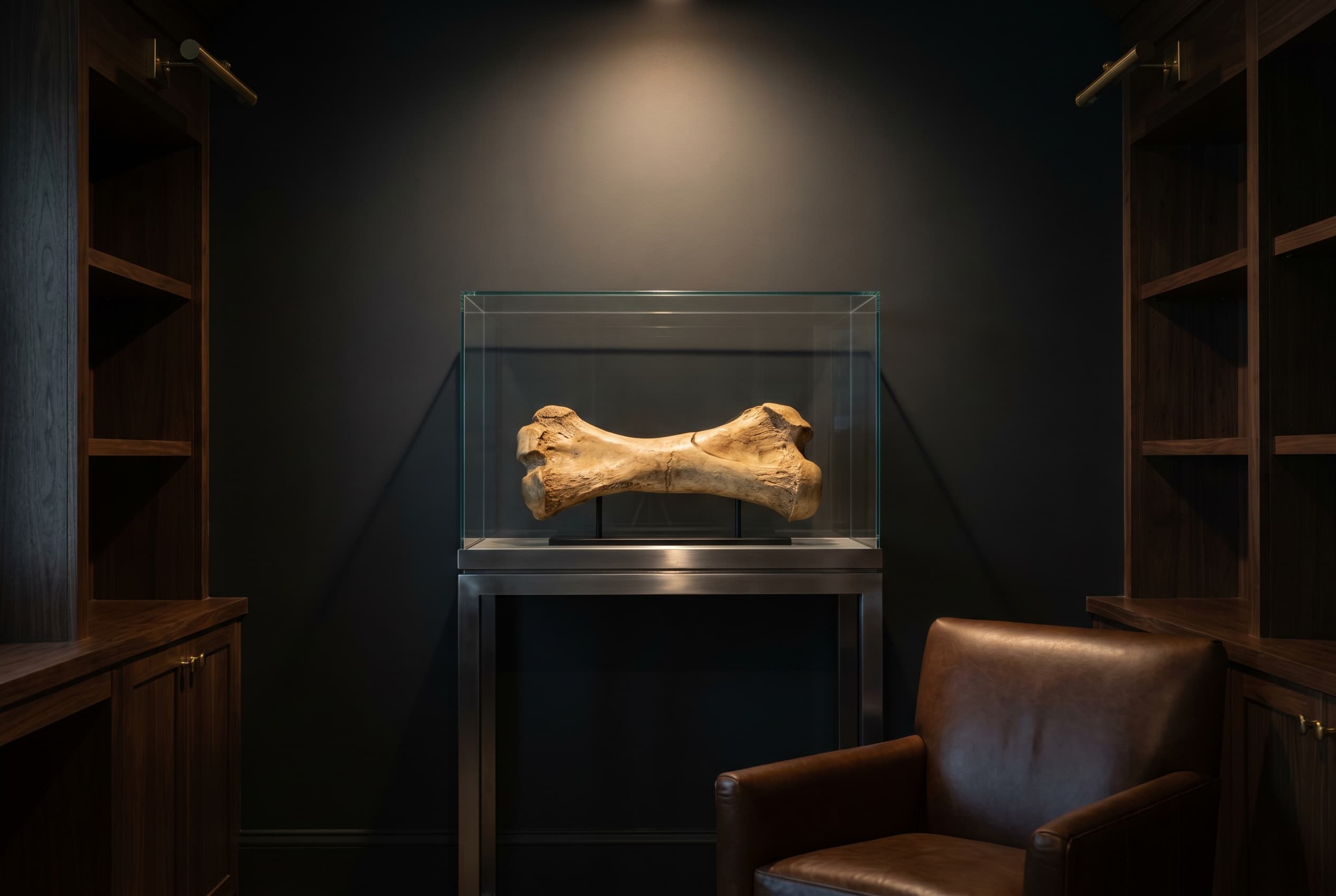 Ankylosaurus Bone — staged render in a staged setting