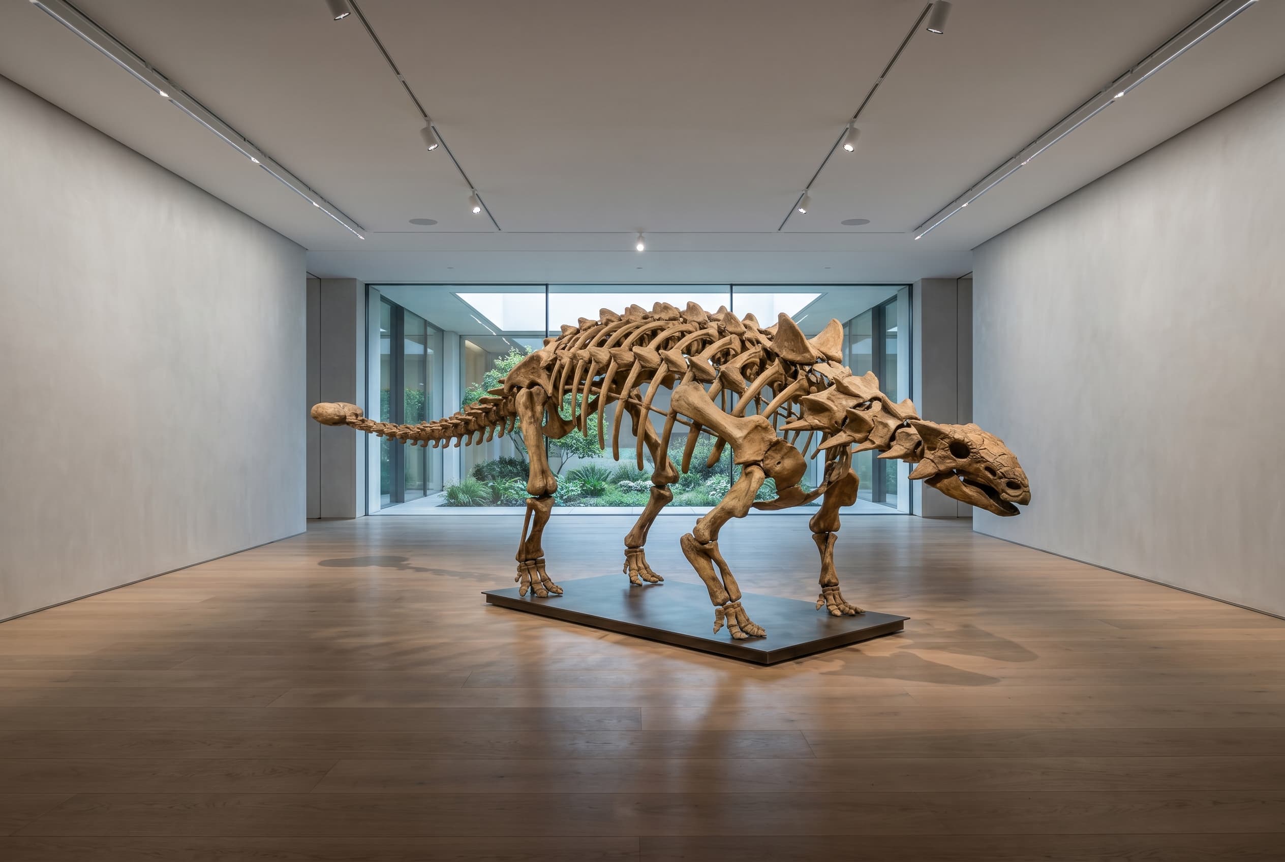 Ankylosaurus Full Skeleton — staged render in a staged setting