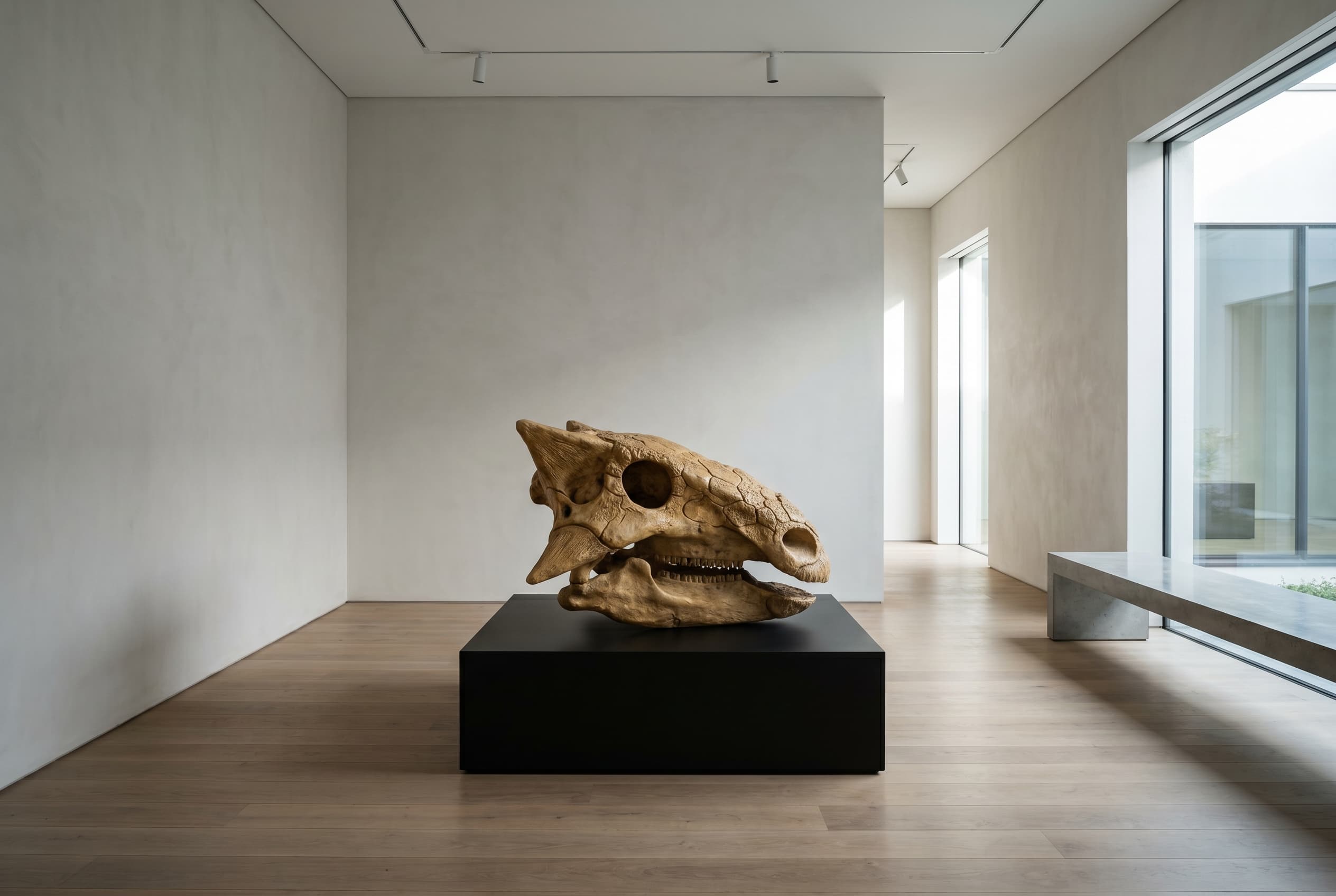 Ankylosaurus Skull — staged render in a staged setting