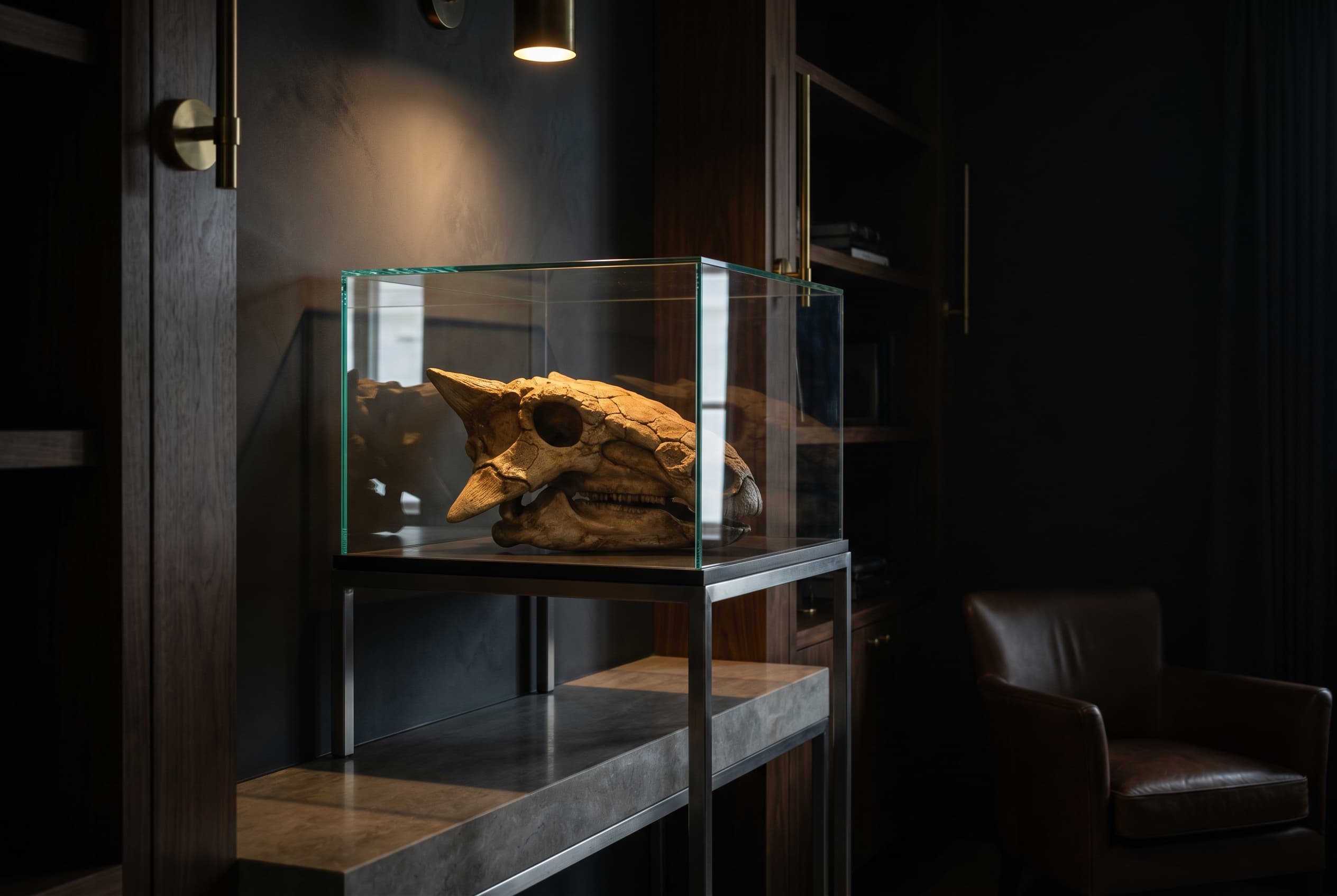 Ankylosaurus Skull — staged render in a staged setting
