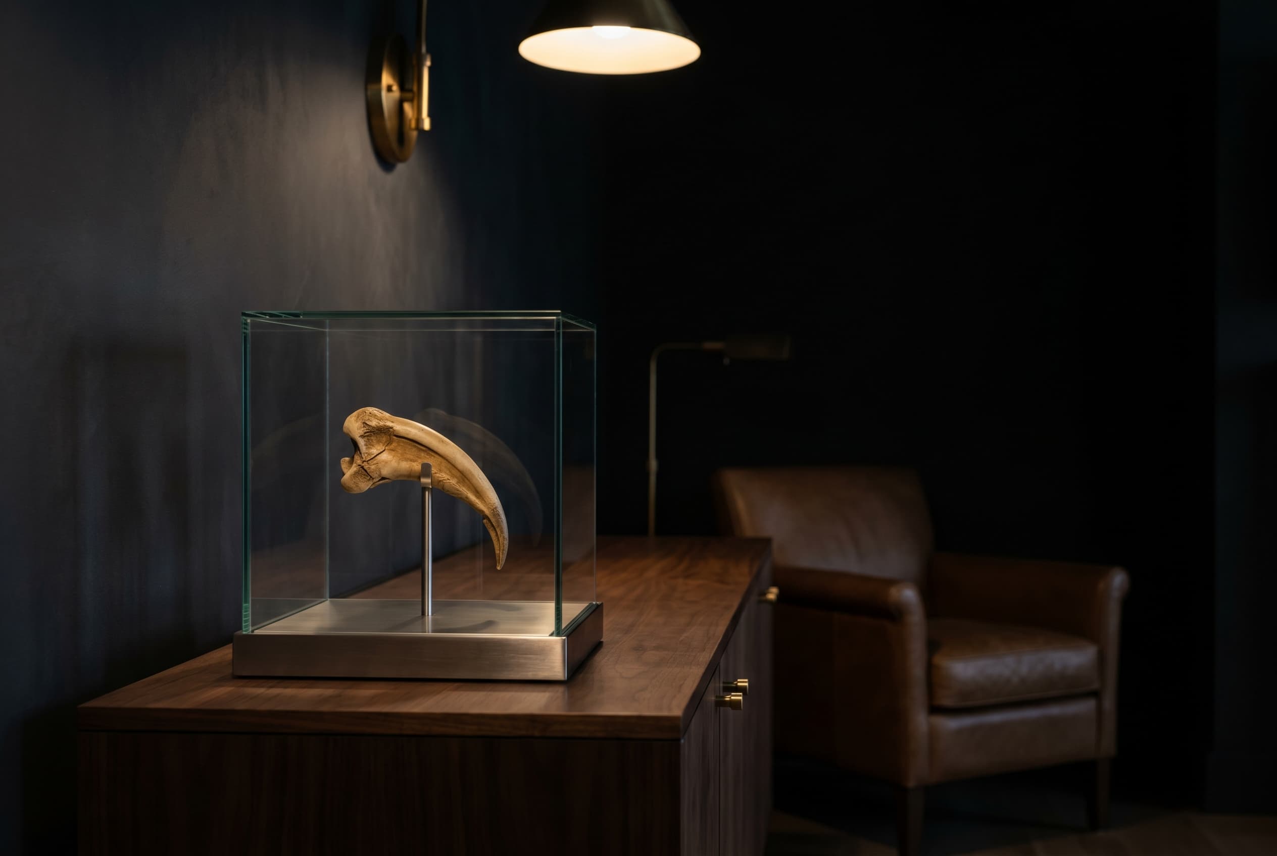 Archaeopteryx Claw — staged render in a staged setting