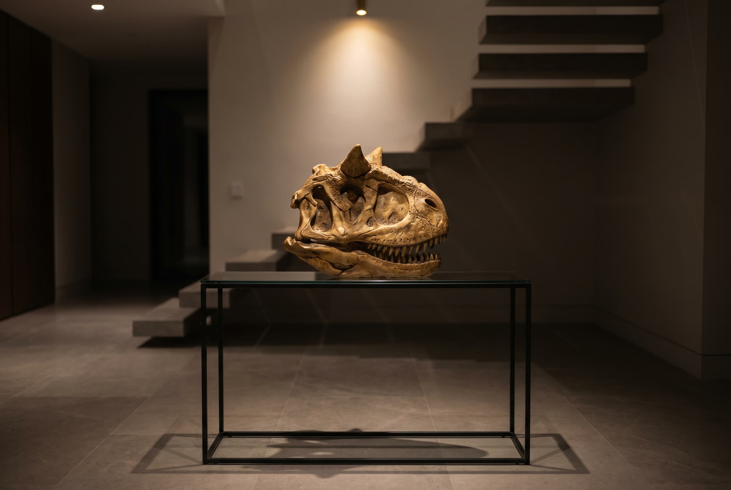 Carnotaurus Skull — staged render in a staged setting