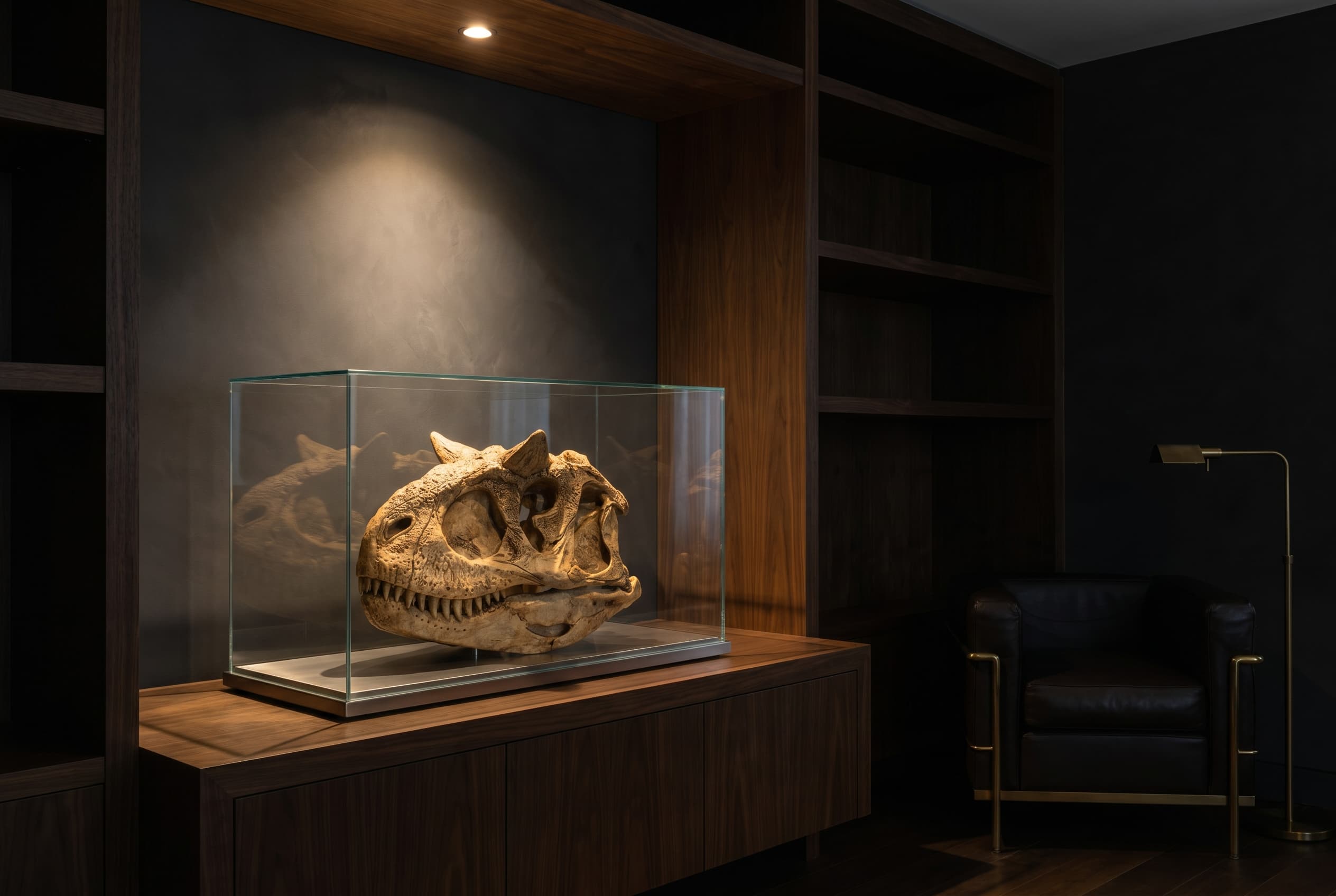 Carnotaurus Skull — staged render in a staged setting
