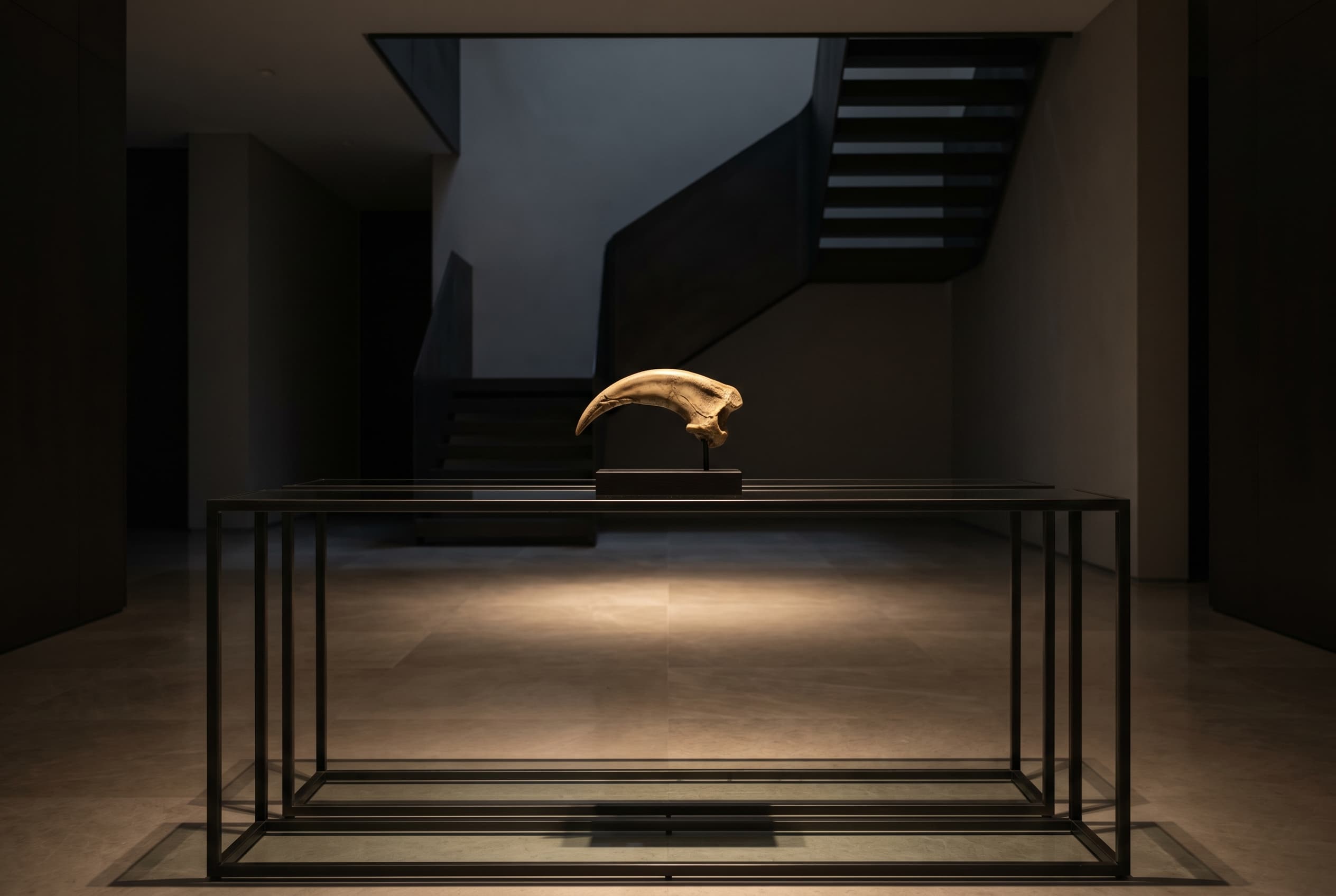 Deinonychus Claw — staged render in a staged setting