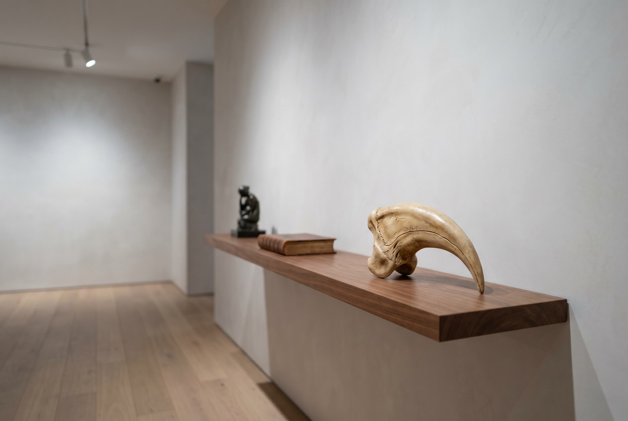 Deinonychus Claw — staged render in a staged setting