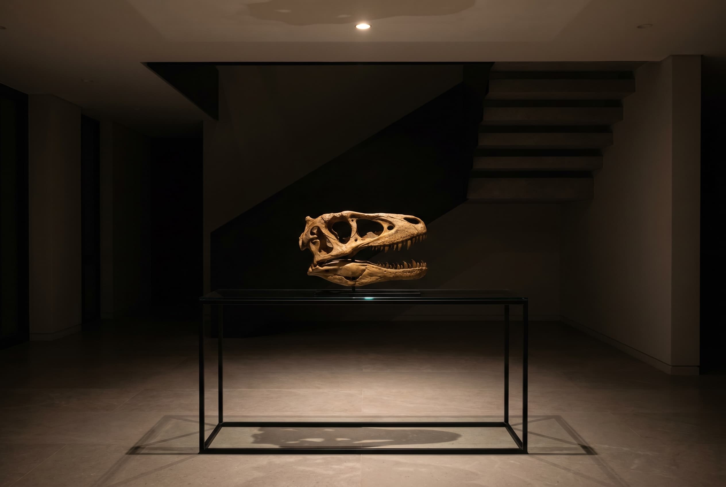 Deinonychus Skull — staged render in a staged setting