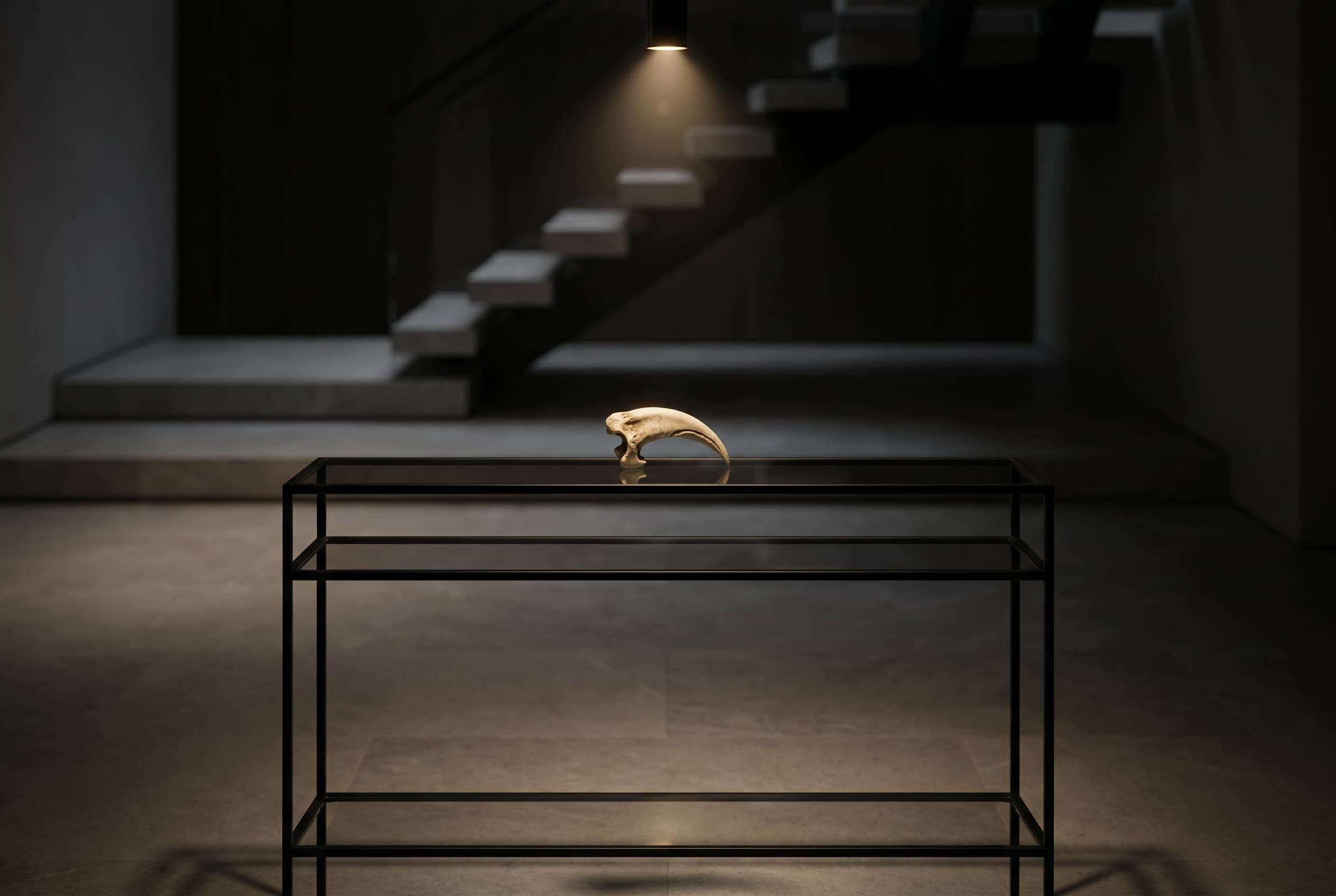 Microraptor Claw — staged render in a staged setting