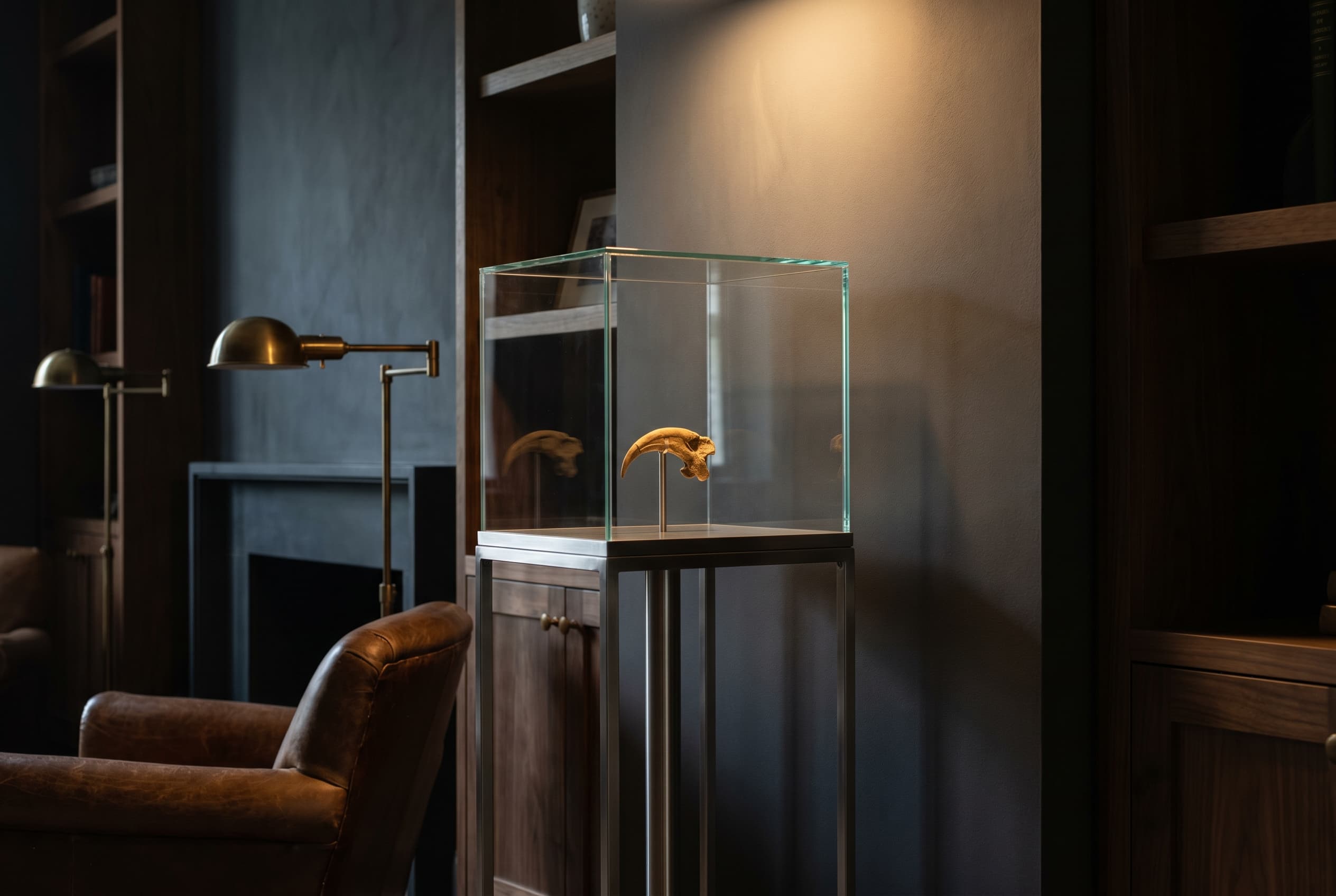 Microraptor Claw — staged render in a staged setting
