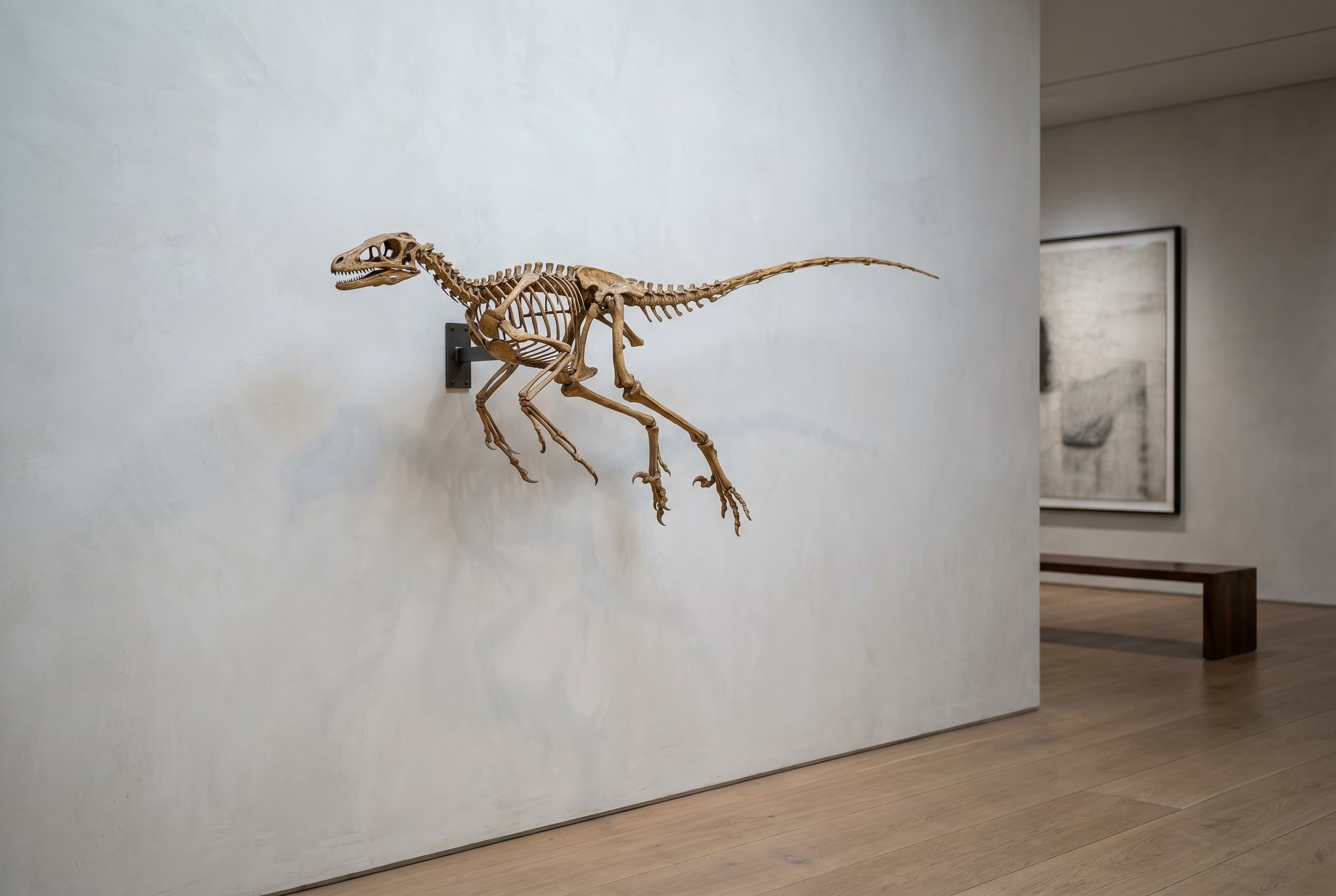 Microraptor Full Skeleton — staged render in a staged setting
