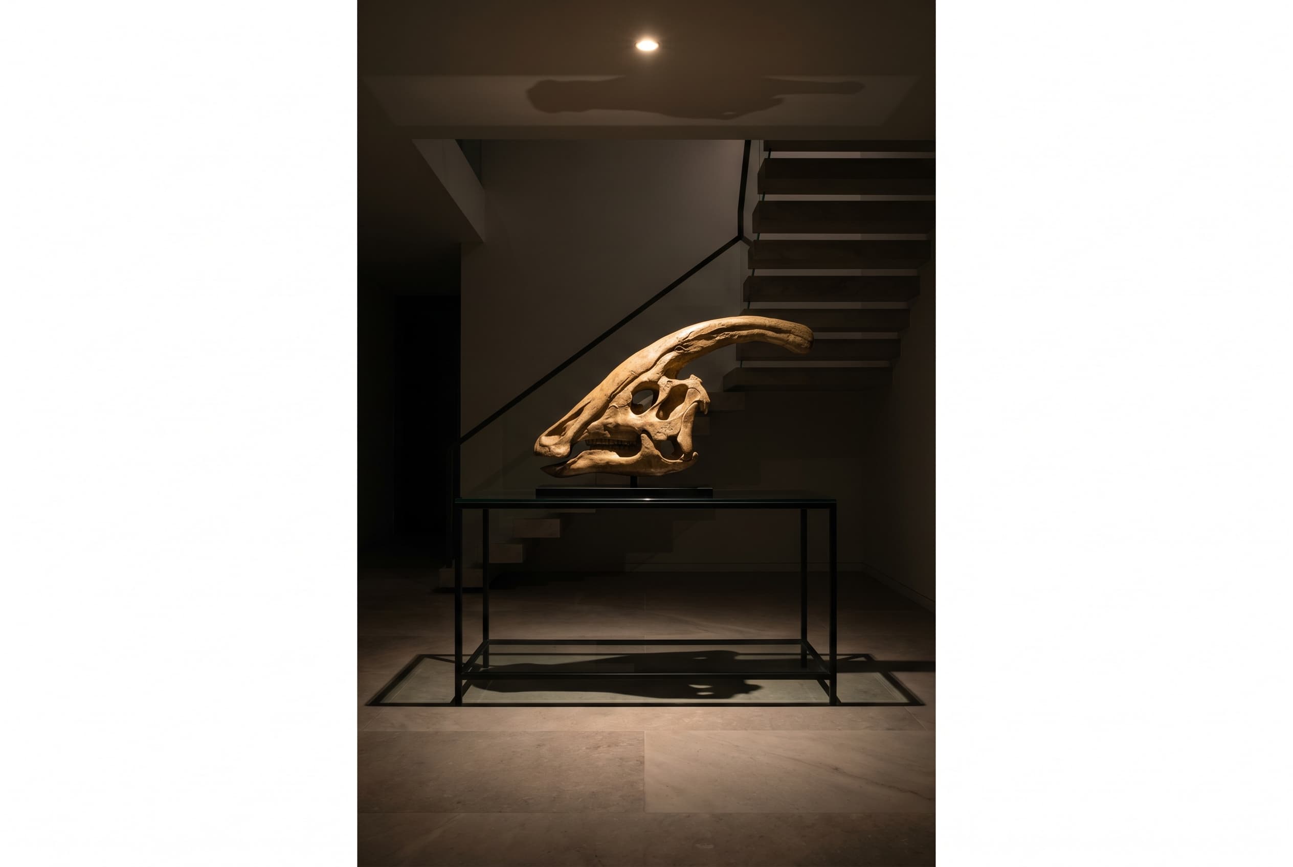 Parasaurolophus Skull — staged render in a staged setting