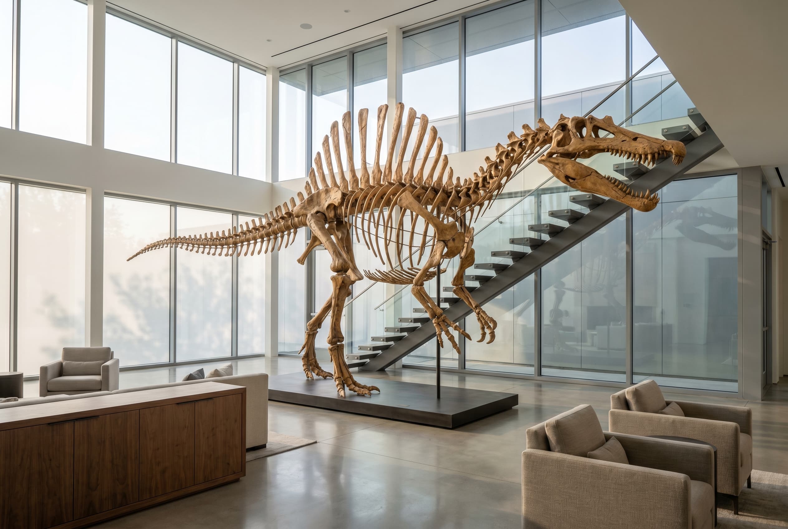 Spinosaurus Full Skeleton — staged render in a staged setting