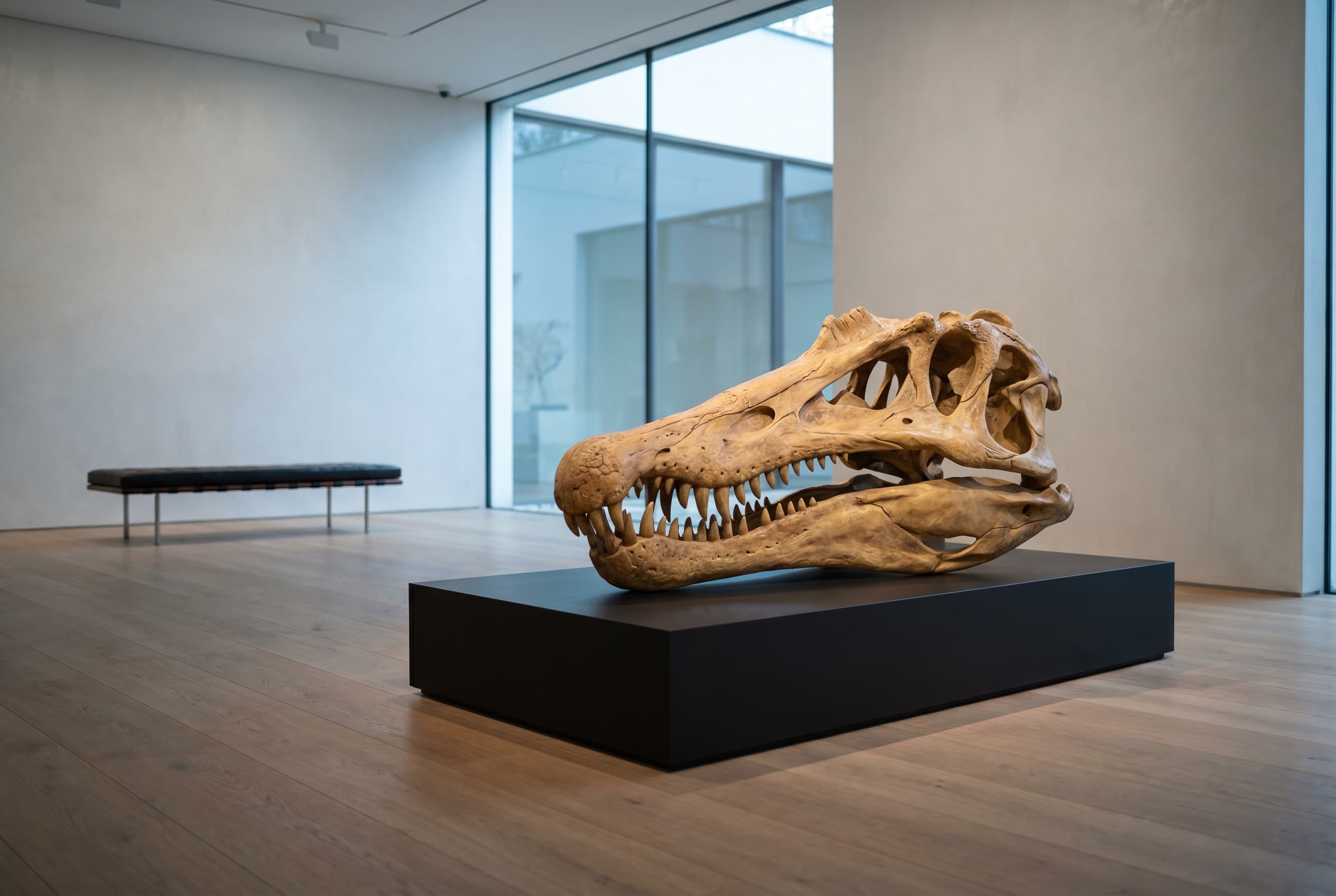 Spinosaurus Skull — staged render in a staged setting