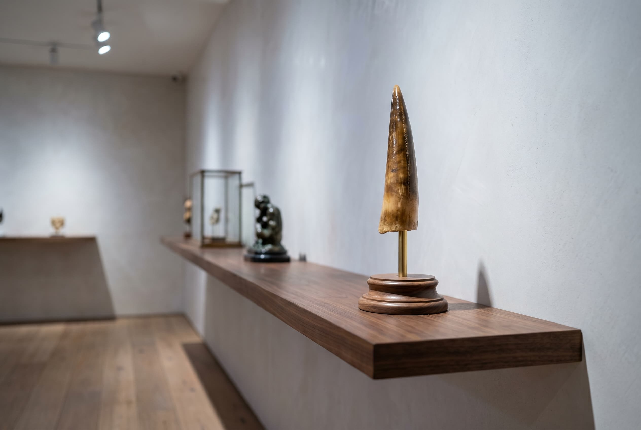 Spinosaurus Tooth — staged render in a staged setting