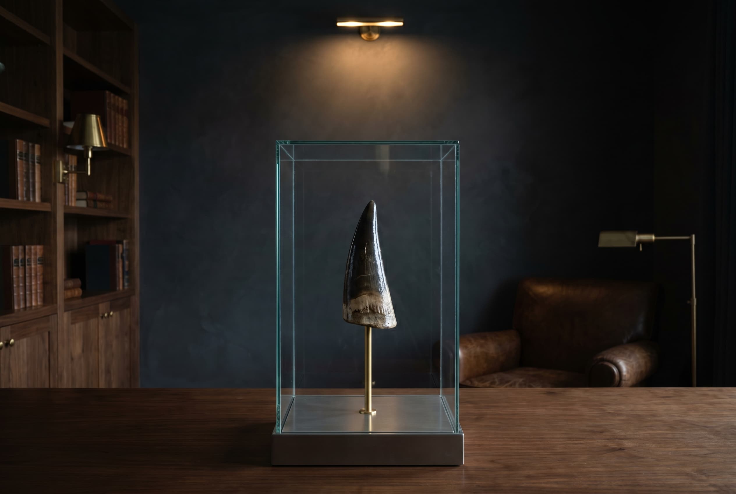 Spinosaurus Tooth — staged render in a staged setting