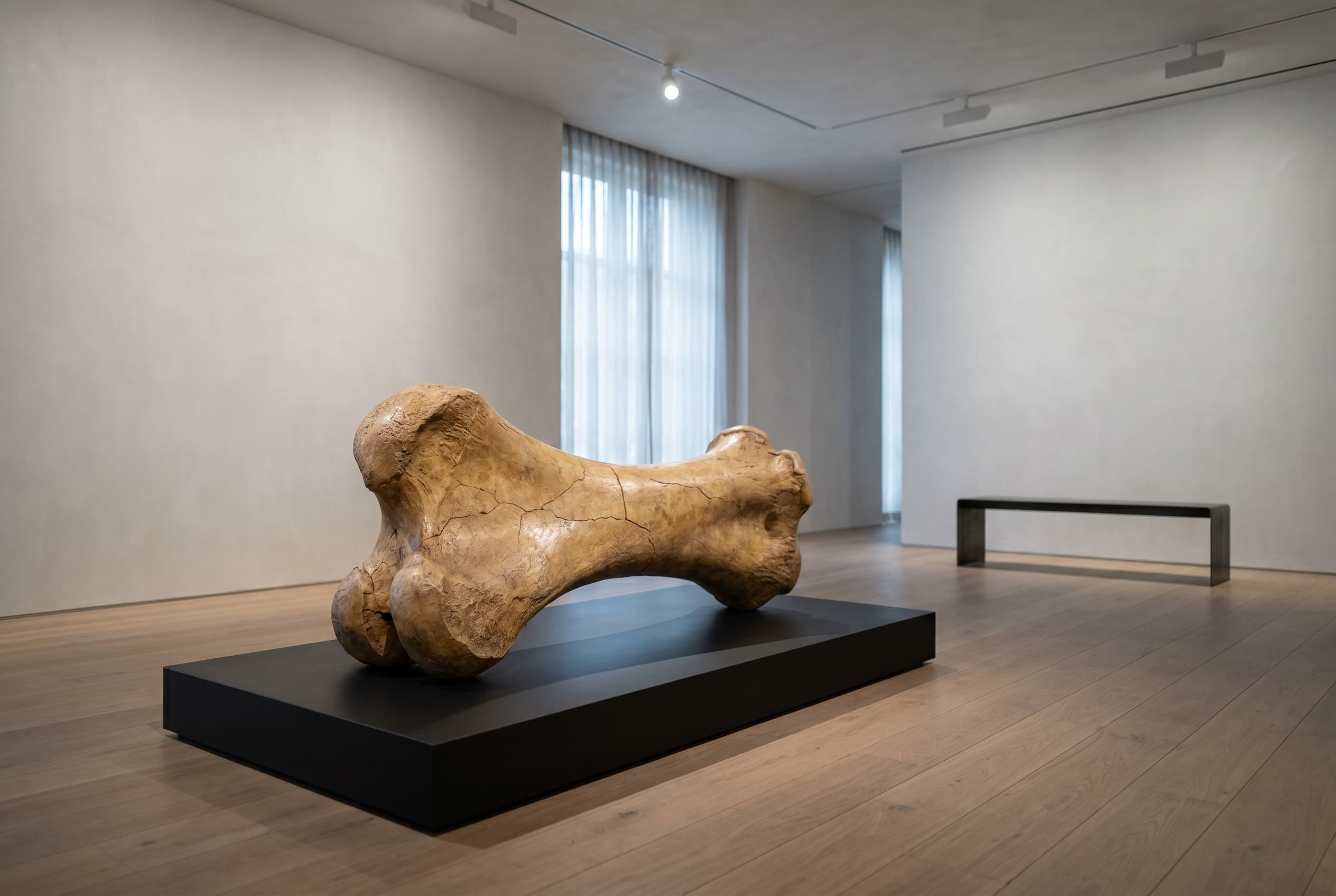 Stegosaurus Bone — staged render in a staged setting
