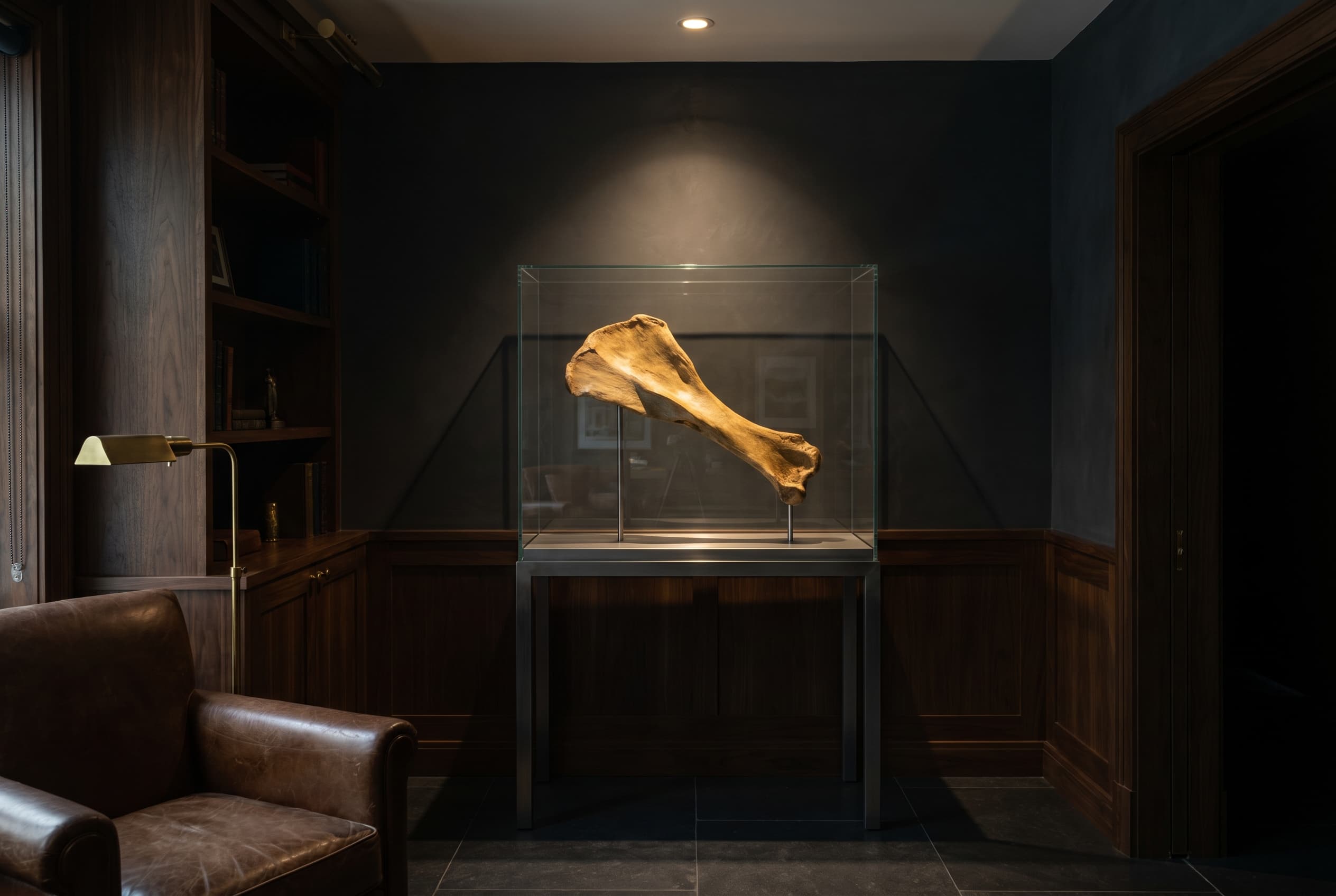 Stegosaurus Bone — staged render in a staged setting
