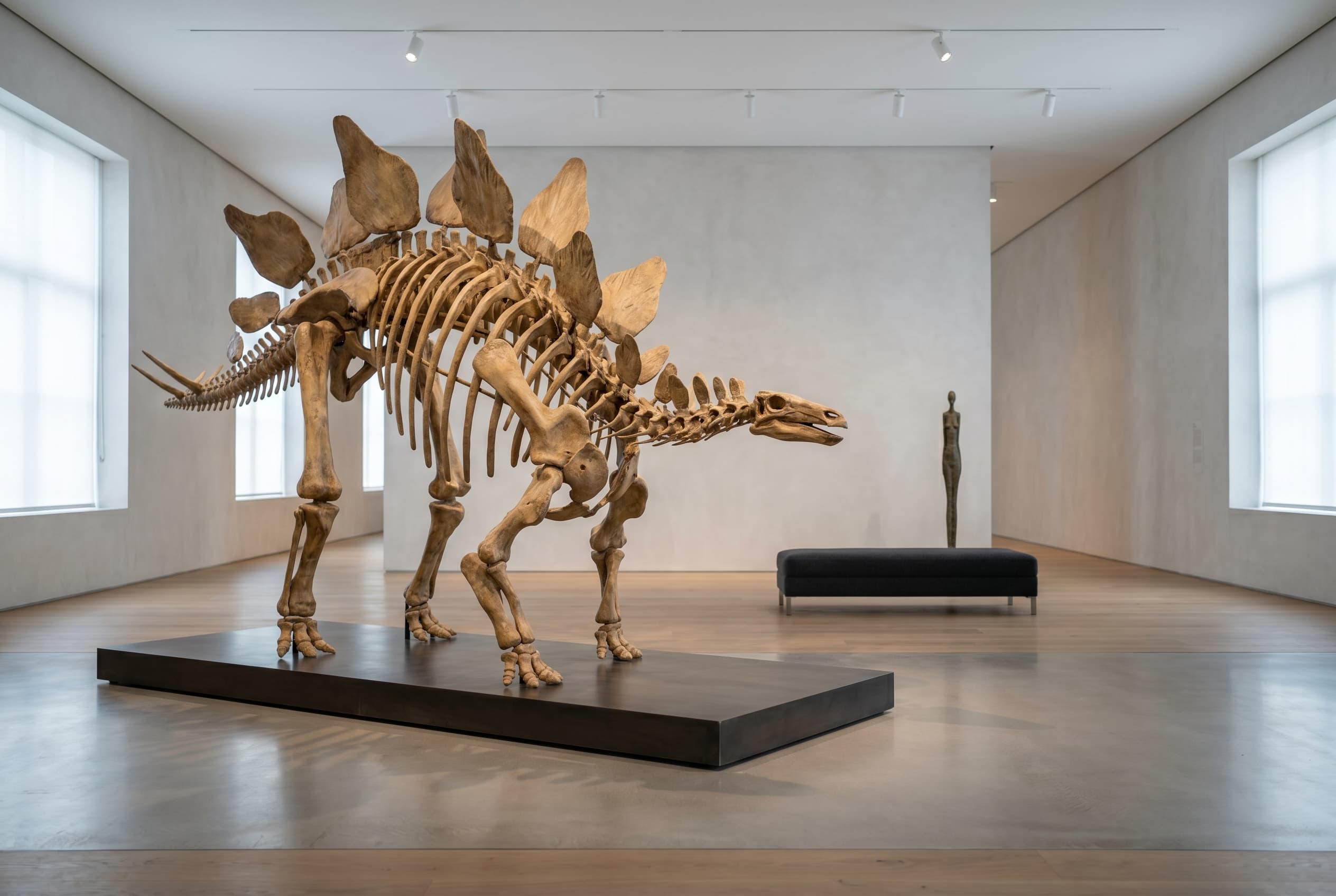 Stegosaurus Full Skeleton — staged render in a staged setting