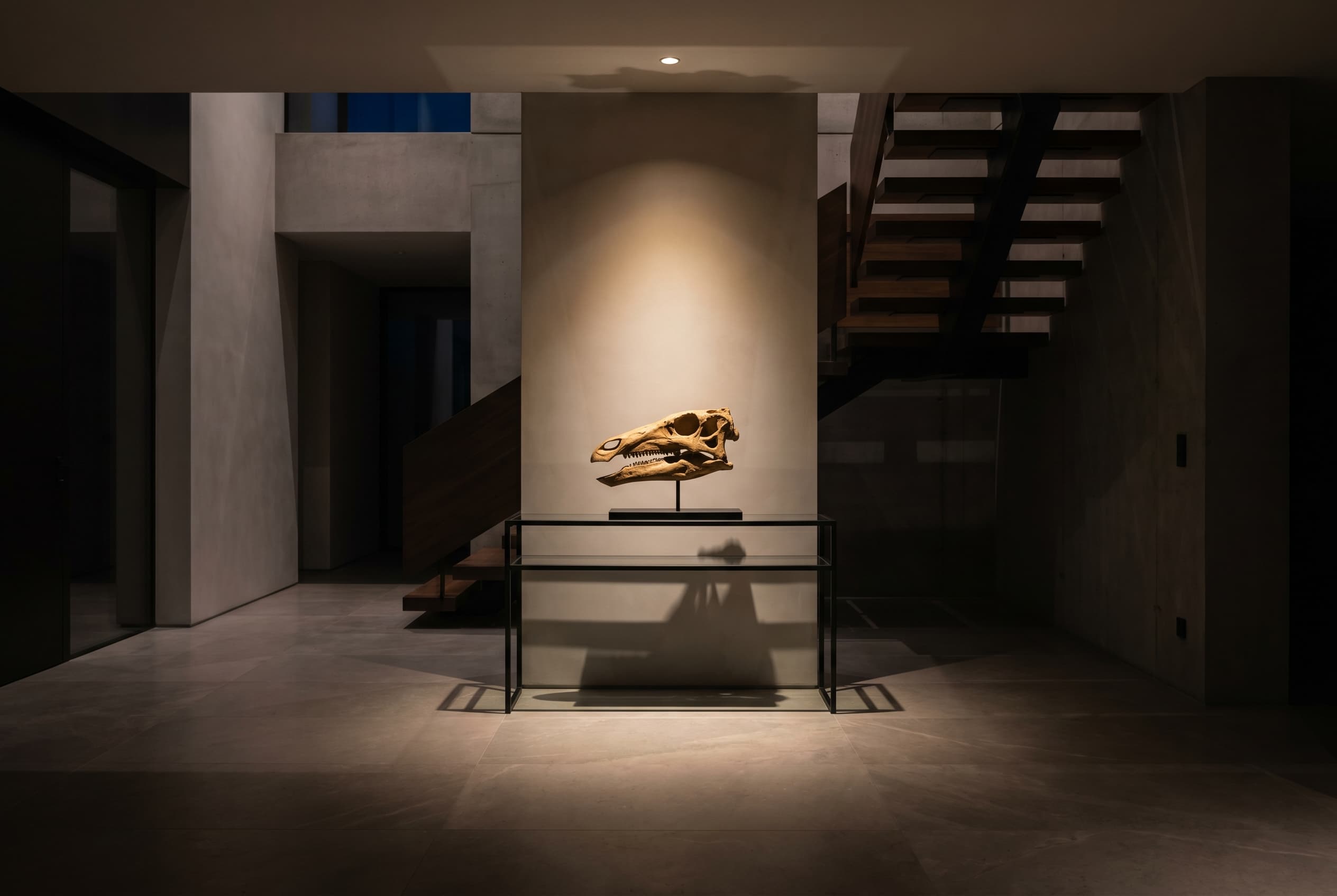 Stegosaurus Skull — staged render in a staged setting
