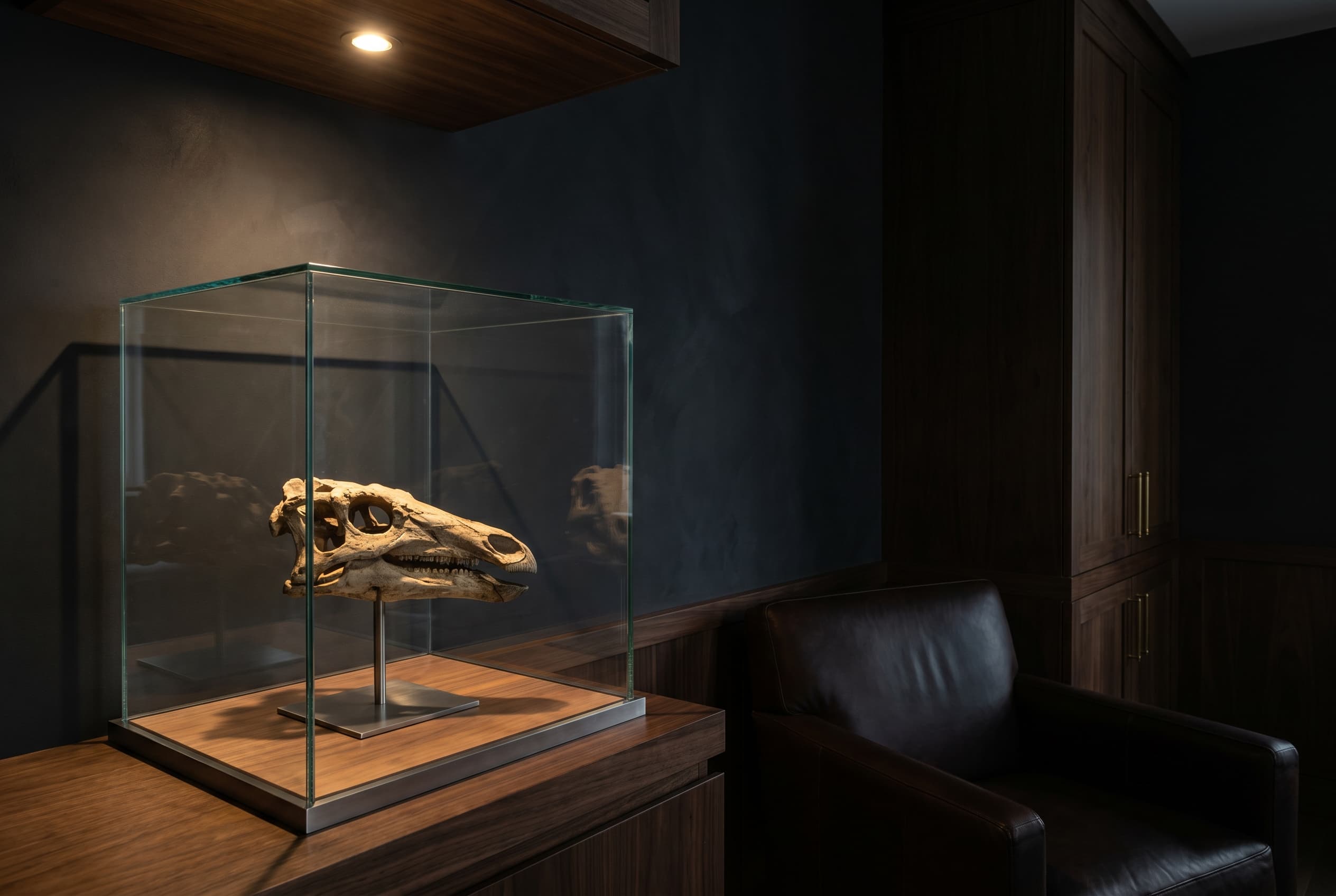 Stegosaurus Skull — staged render in a staged setting