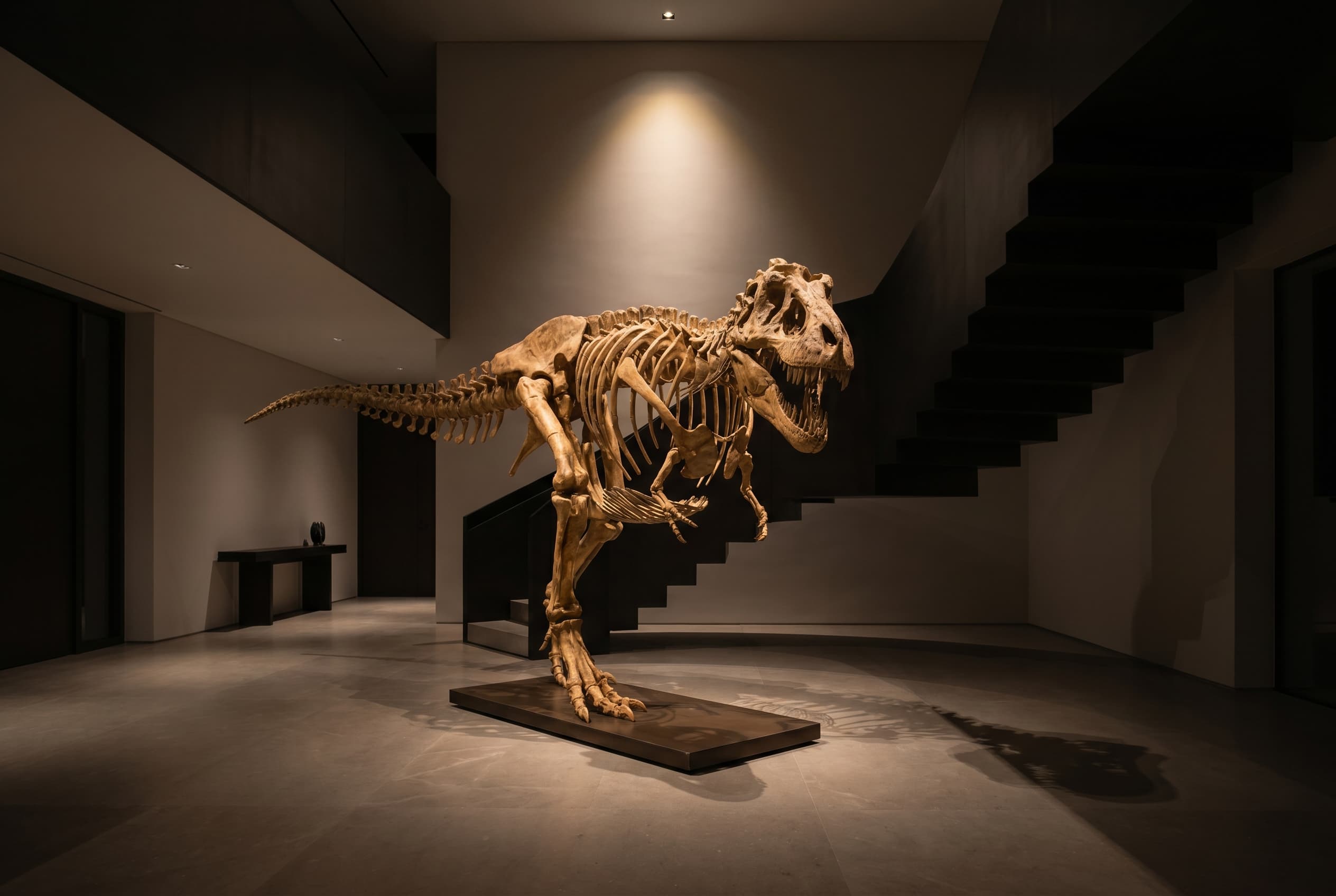 Tyrannosaurus rex Full Skeleton — staged render in a staged setting