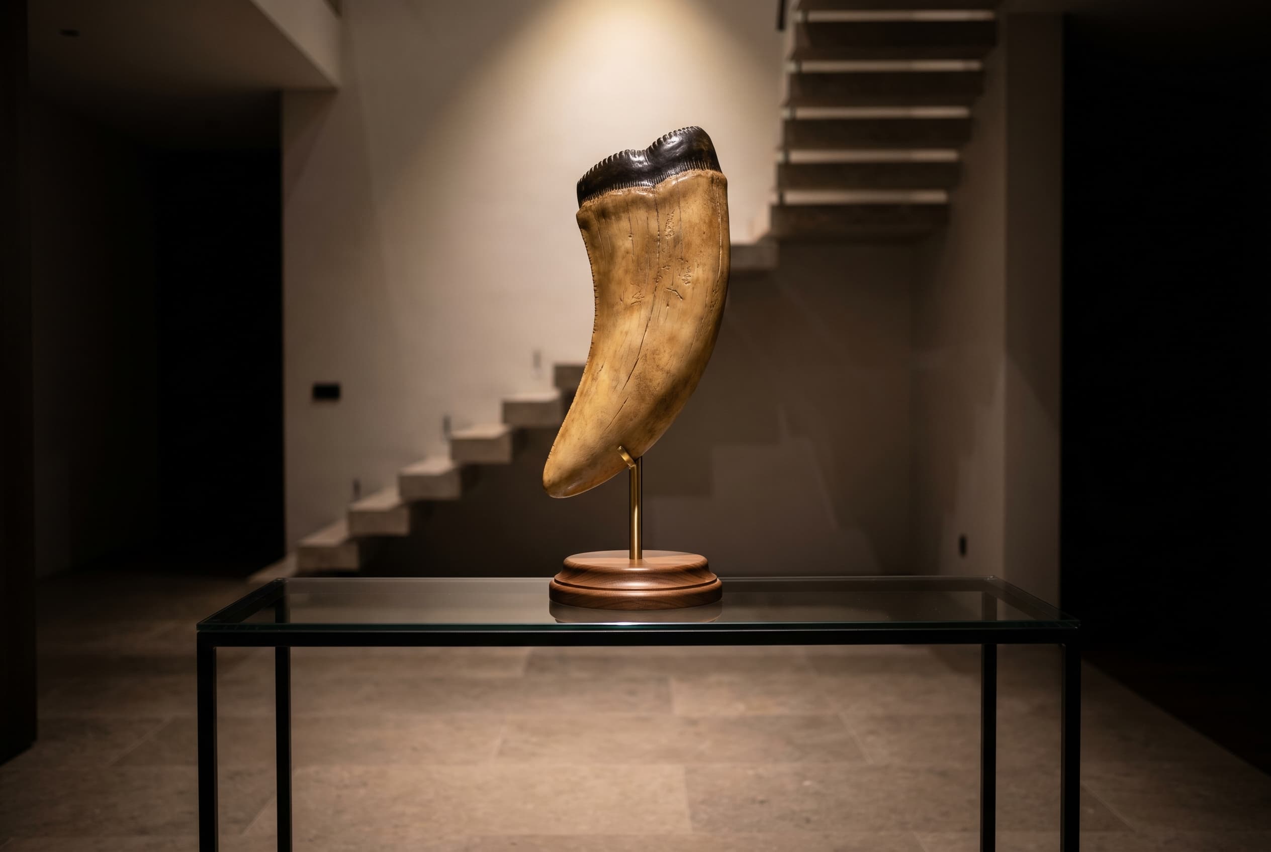Tyrannosaurus rex Tooth — staged render in a staged setting