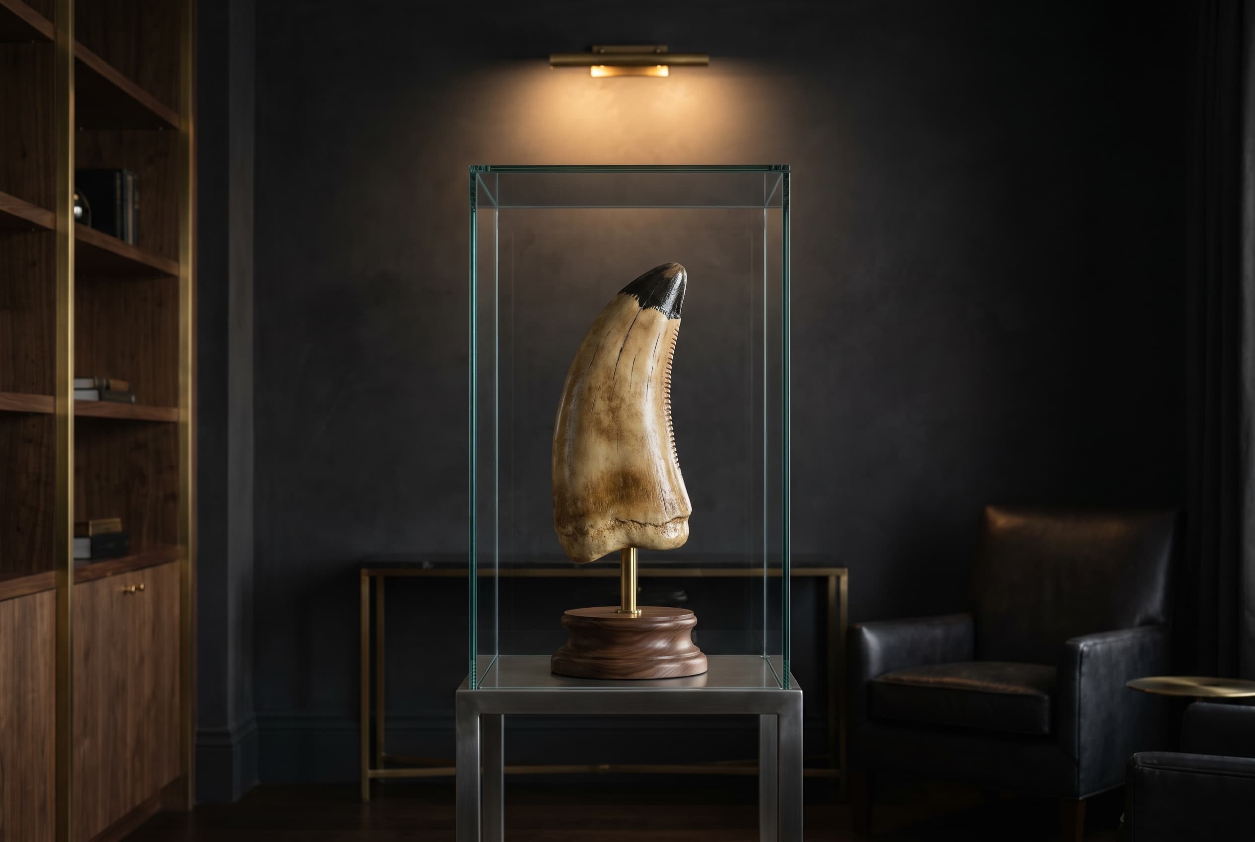 Tyrannosaurus rex Tooth — staged render in a staged setting