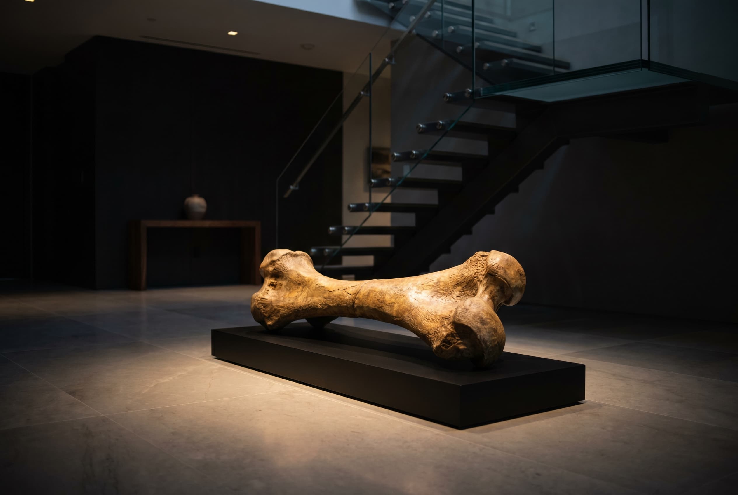 Triceratops Bone — staged render in a staged setting