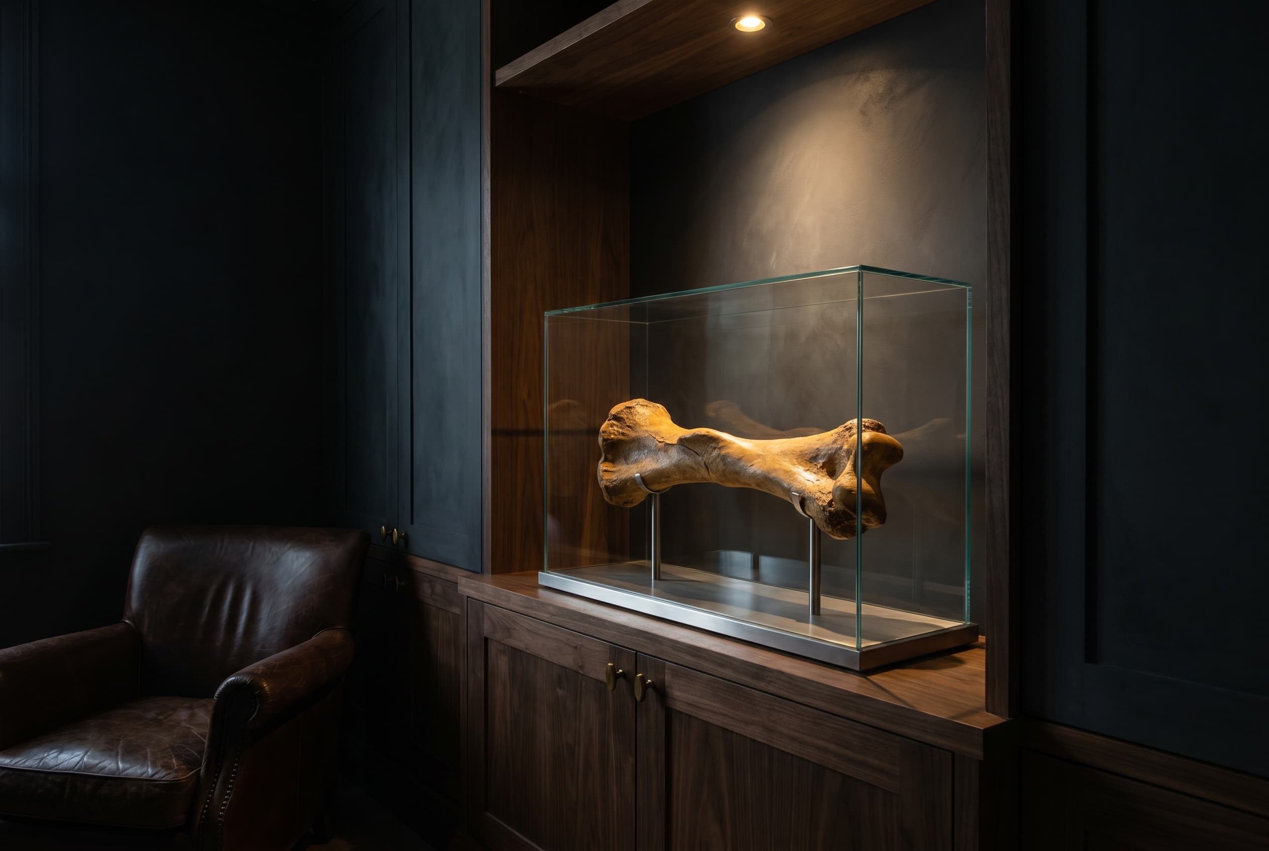 Triceratops Bone — staged render in a staged setting