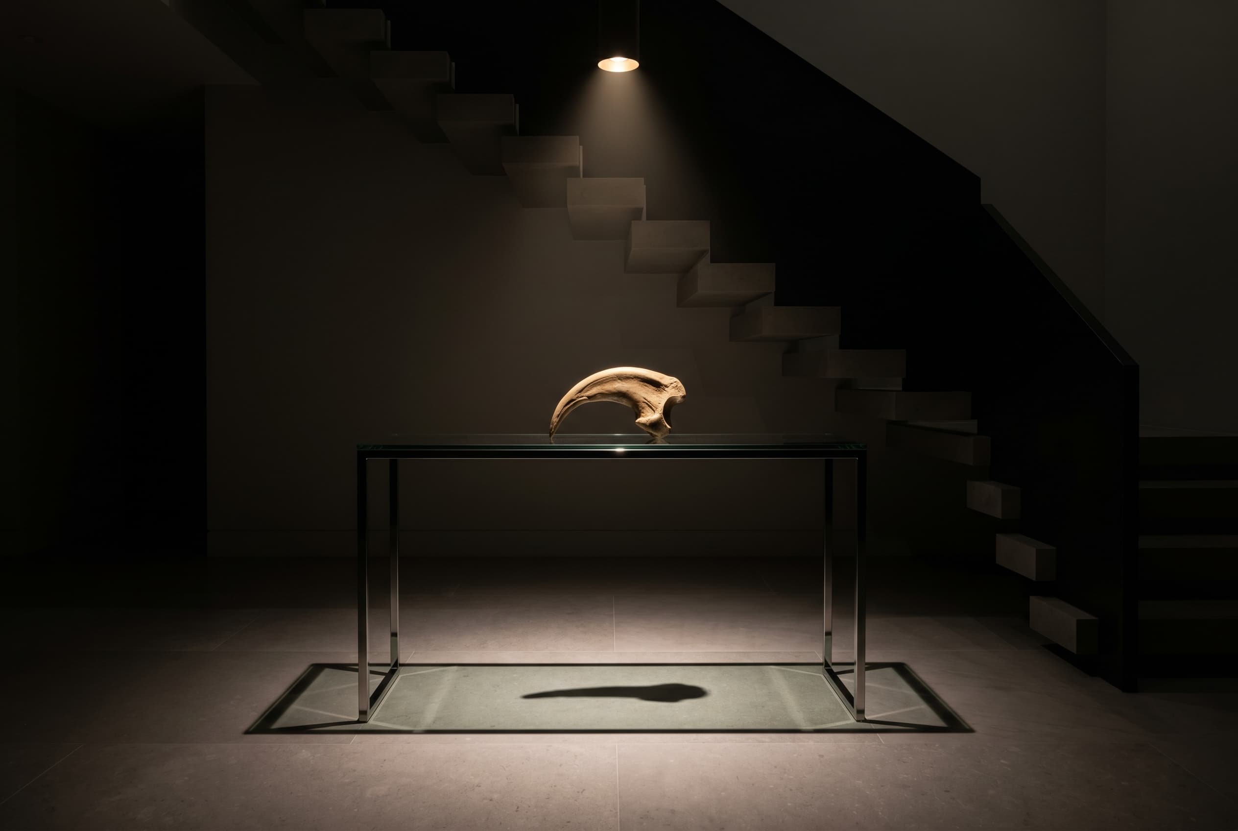 Velociraptor Claw — staged render in a staged setting