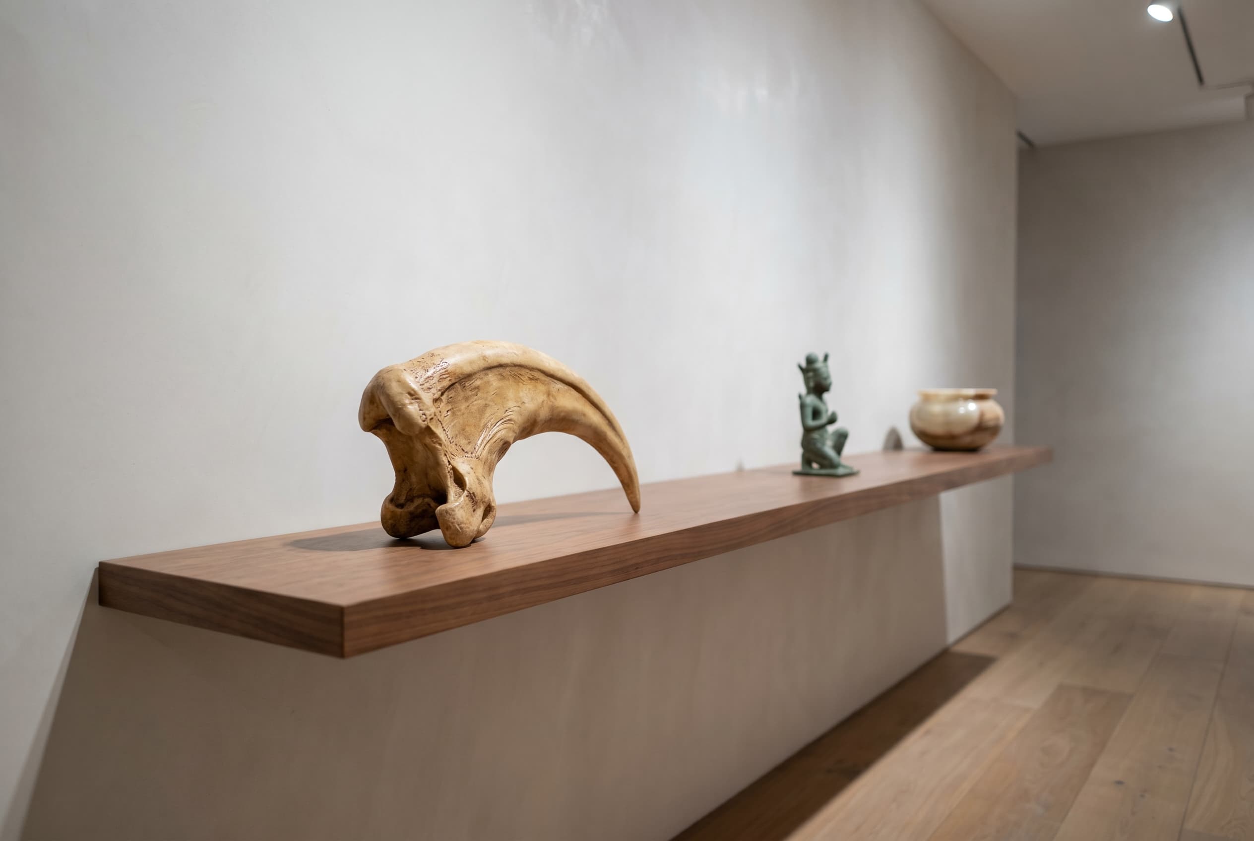 Velociraptor Claw — staged render in a staged setting
