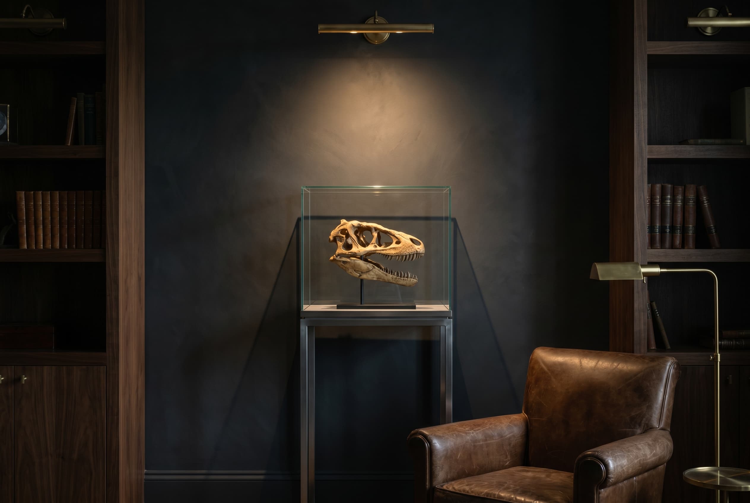 Velociraptor Skull — staged render in a staged setting