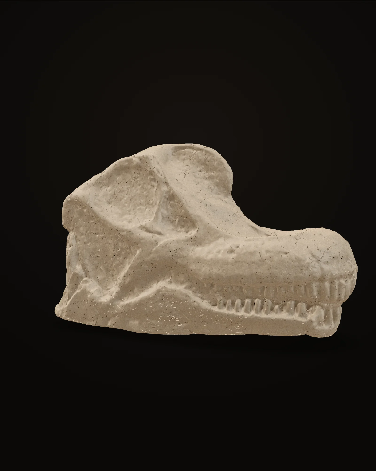 Brachiosaurus — preview of the cast