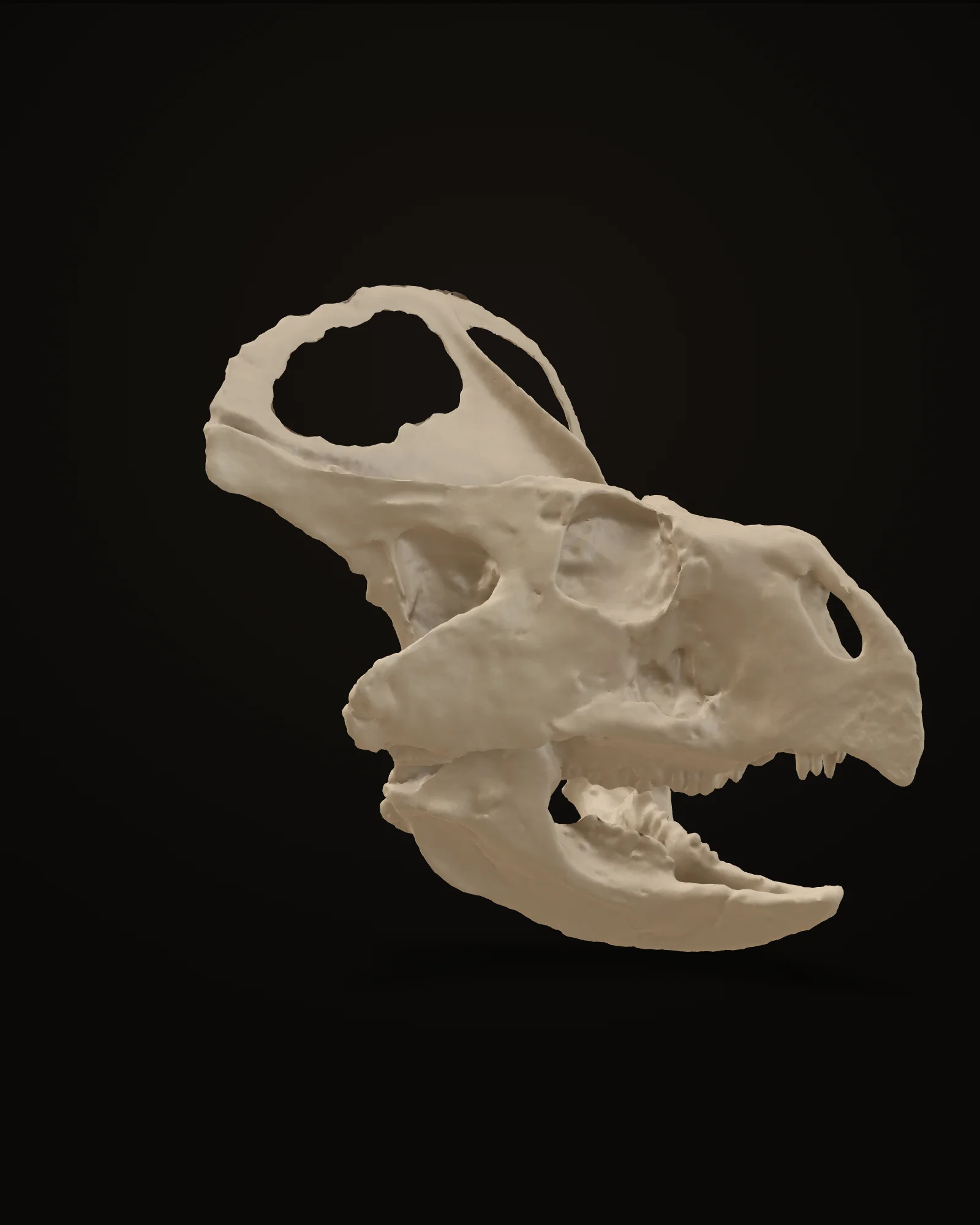 Protoceratops — preview of the cast