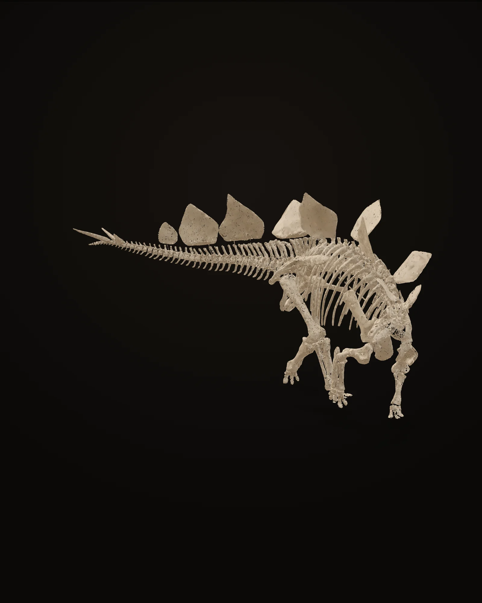 Stegosaurus — preview of the cast