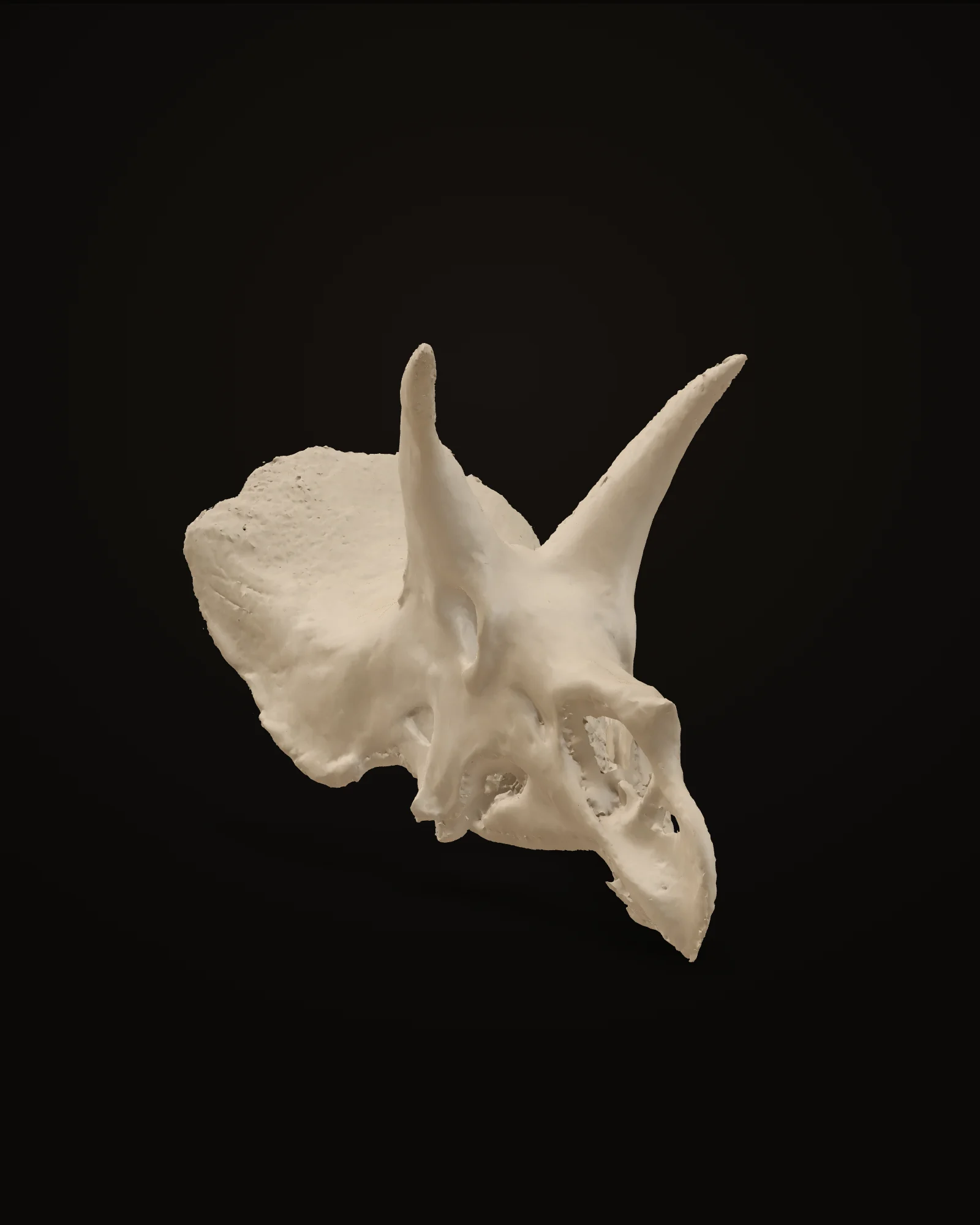 Triceratops — preview of the cast
